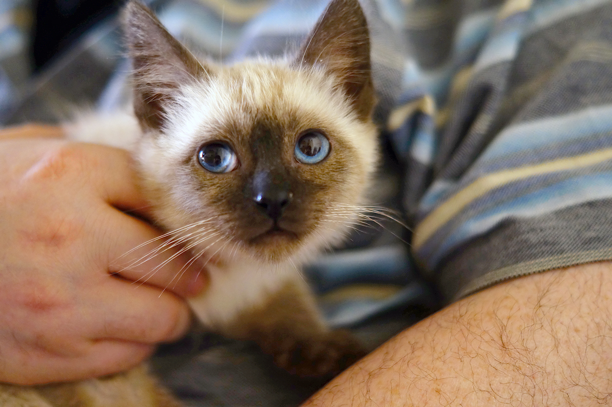 Un nuovo arrivo in famiglia: Arturo