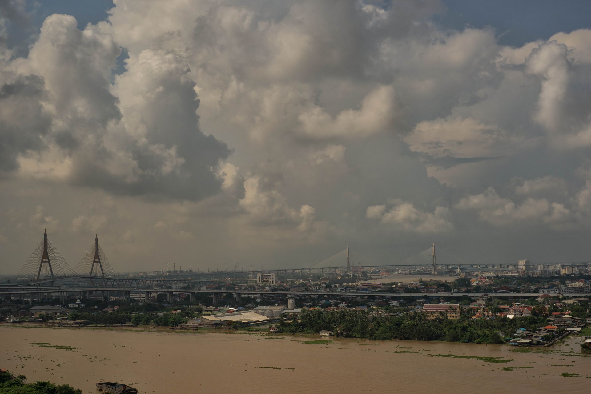 The River Runs Brown