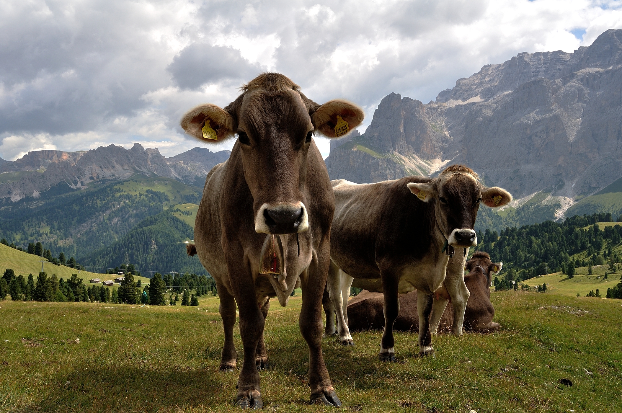 Curiosona ...! Dolomites - Refuge Comedians