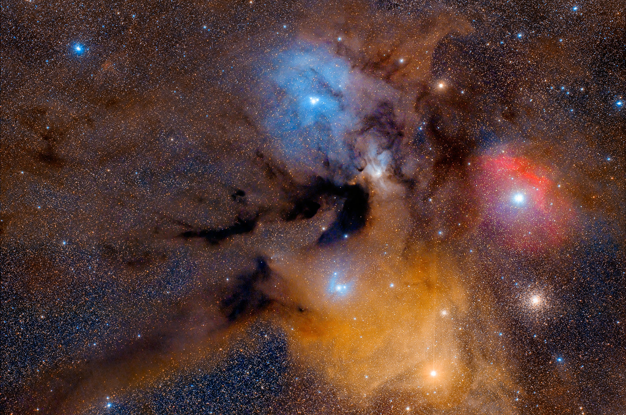 Rho Ophiuchi...l'unione fa la forza (Milani-Palmieri)