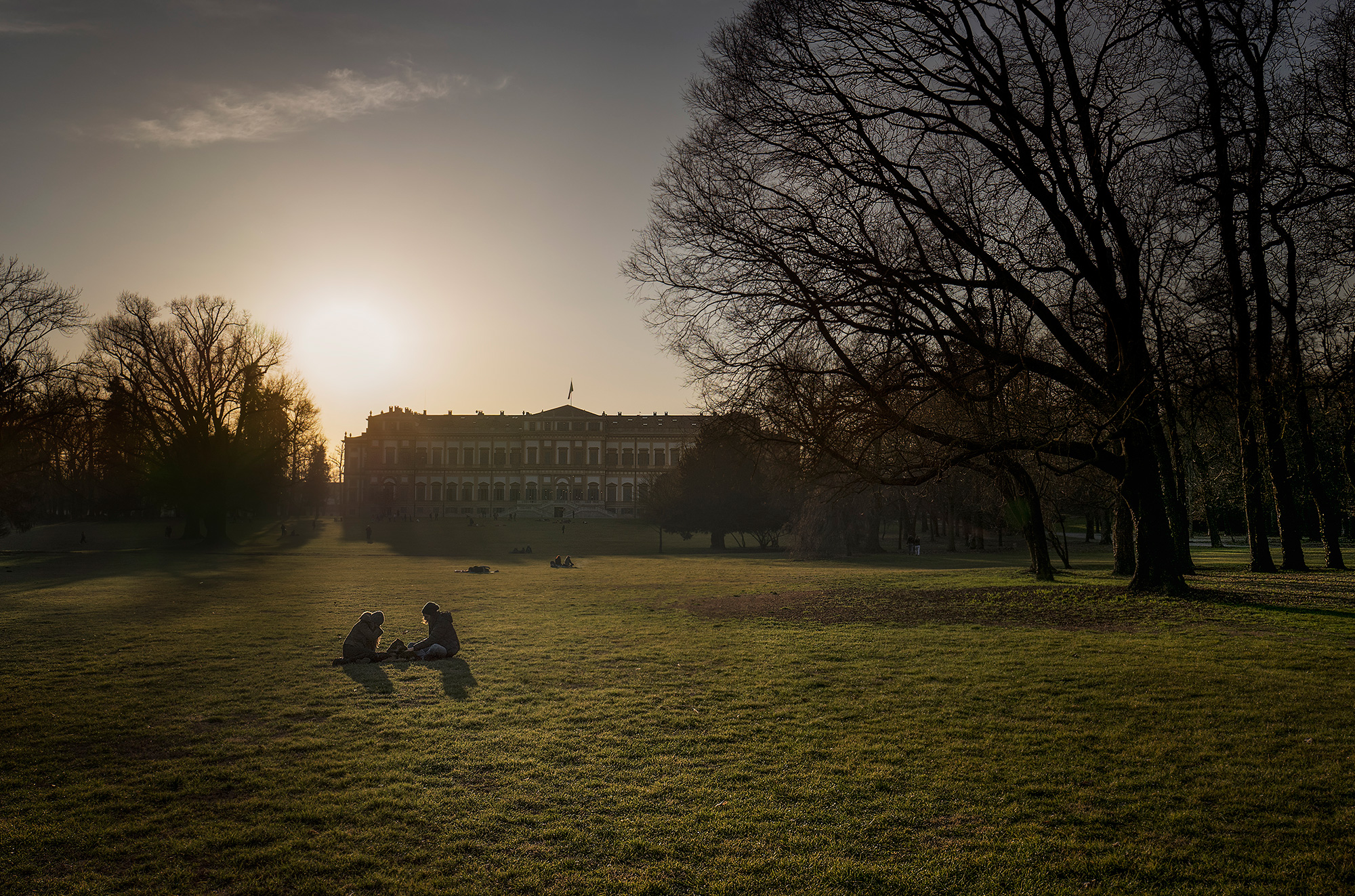 The Garden of the King