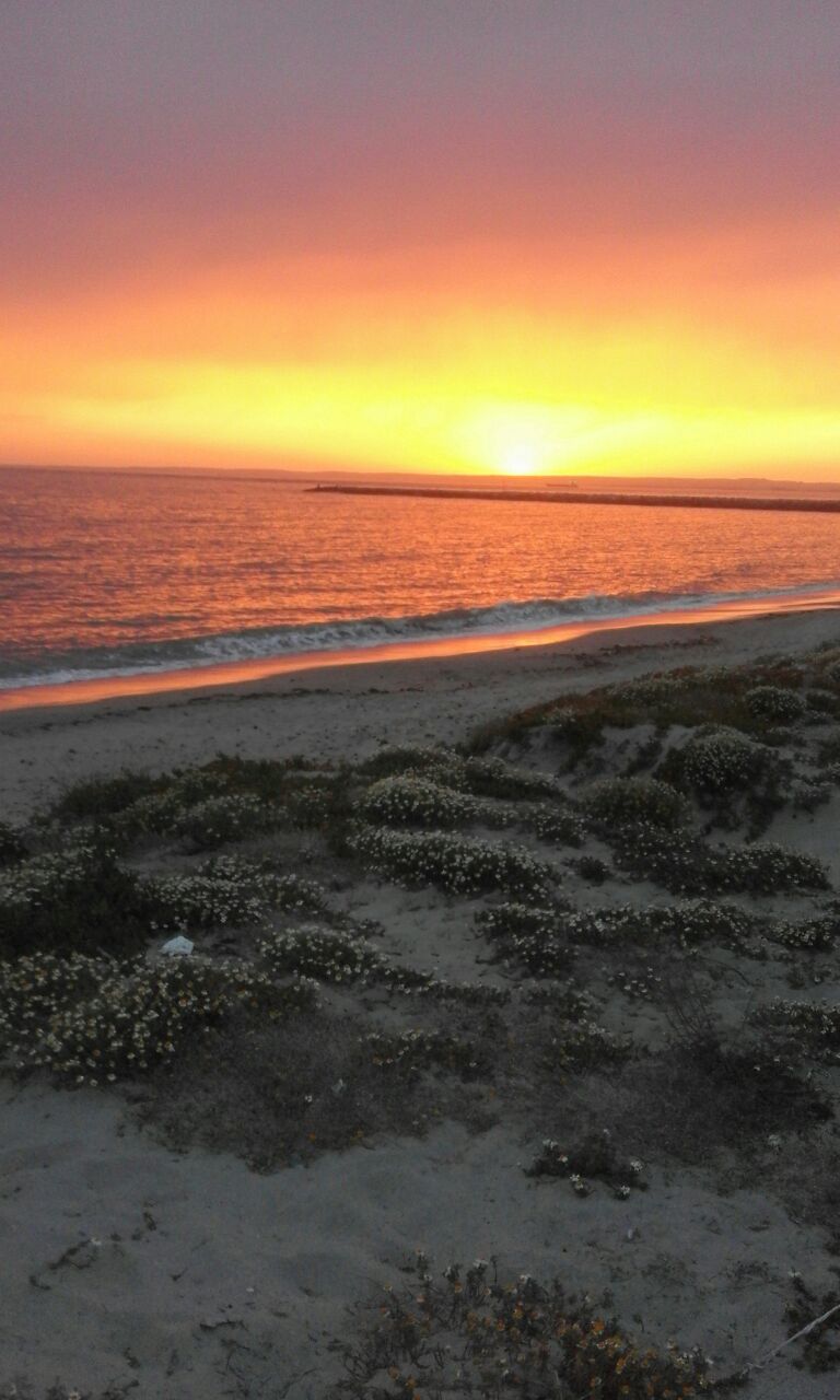 Il porto di Oristano
