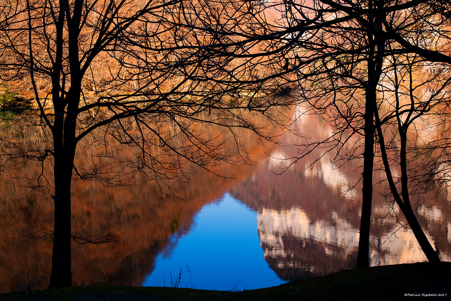 La danza degli alberi al Lago di Schenèr