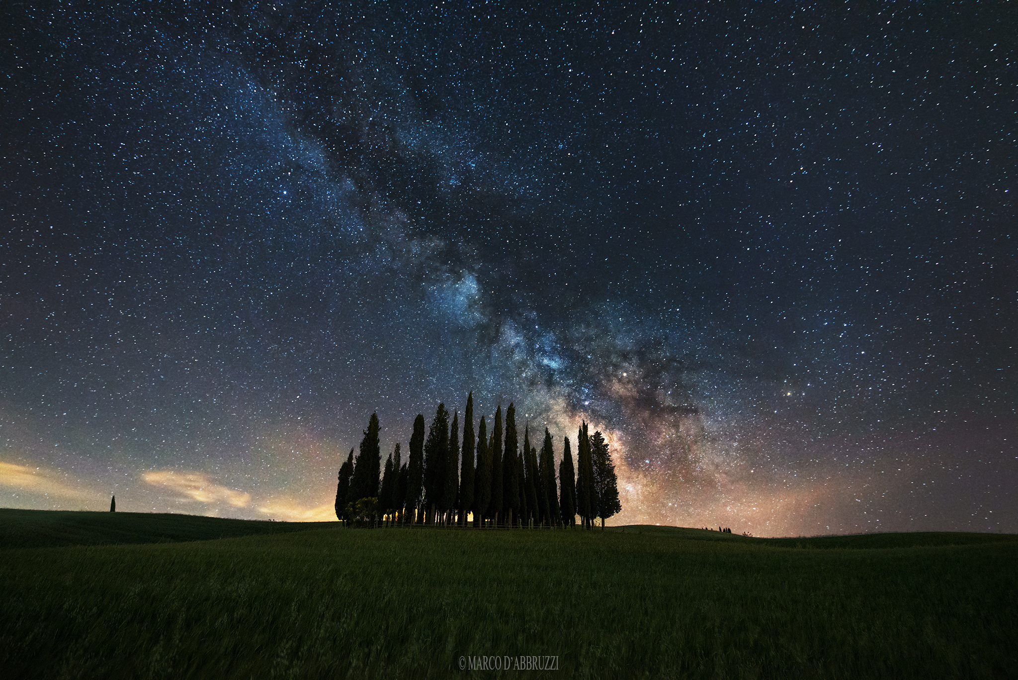 Tuscany cypress grove.