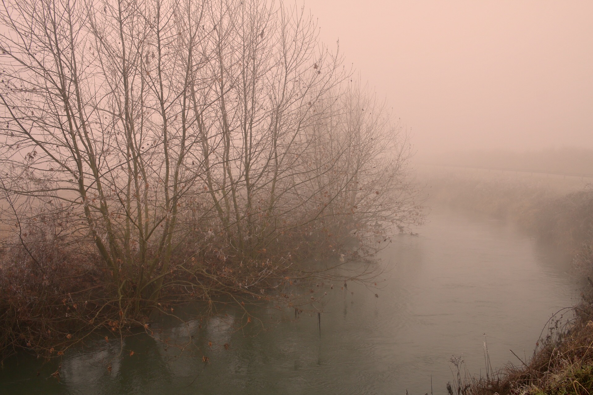 Bruma and rogge of Vercellius.