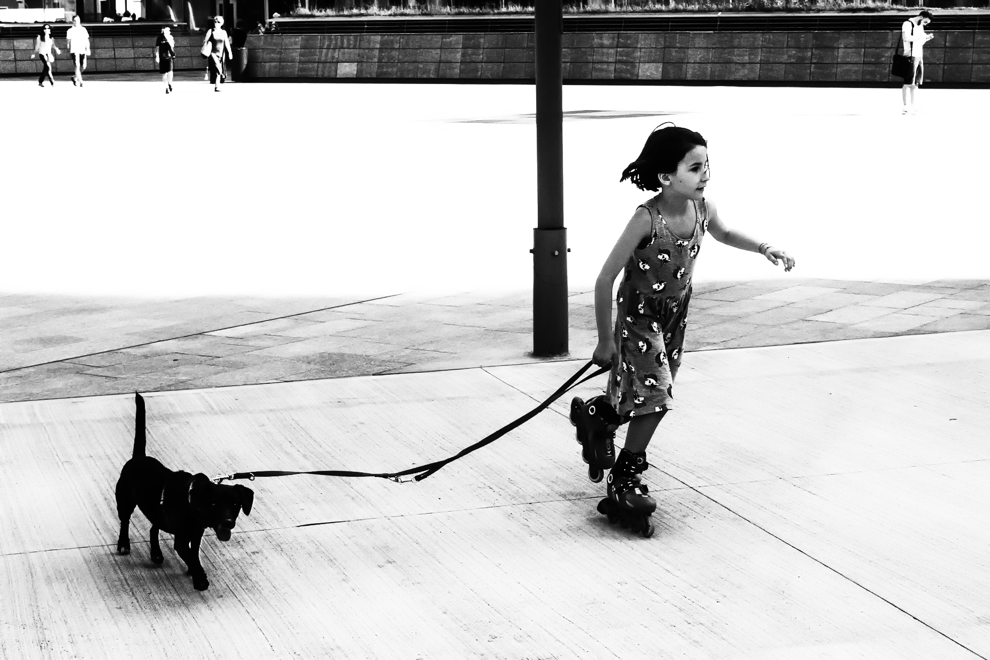 The Little Lady with the Dog