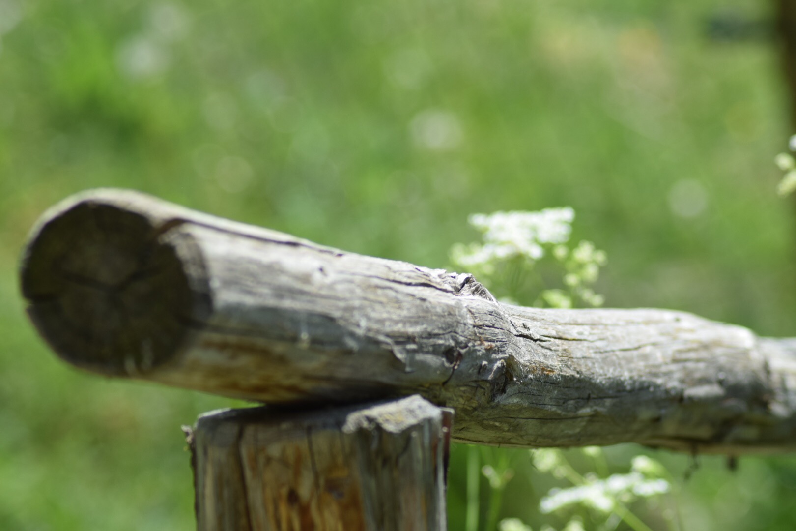 Test clicks with 35mm