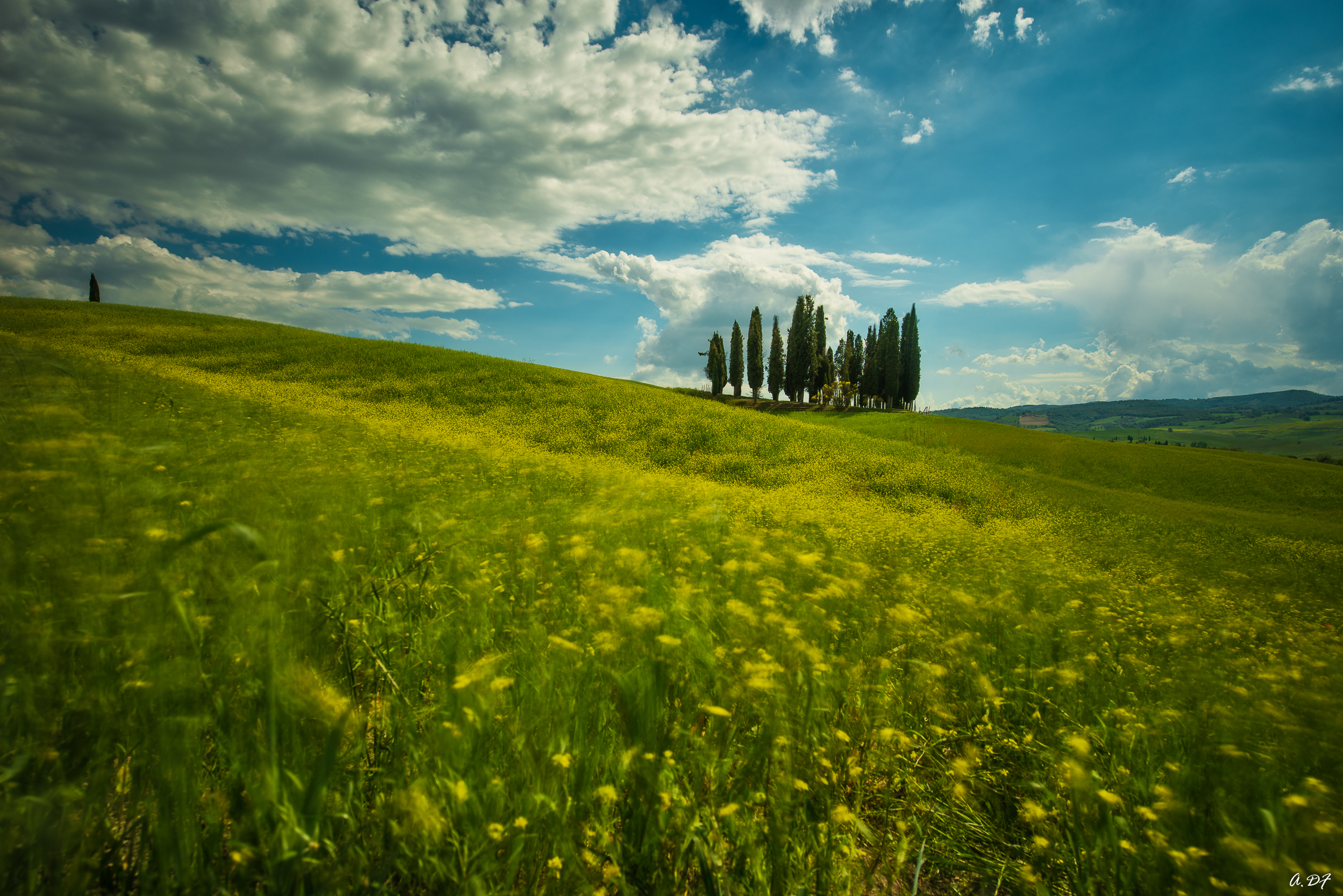 Immersed in the rapids of the Val d'Orcia