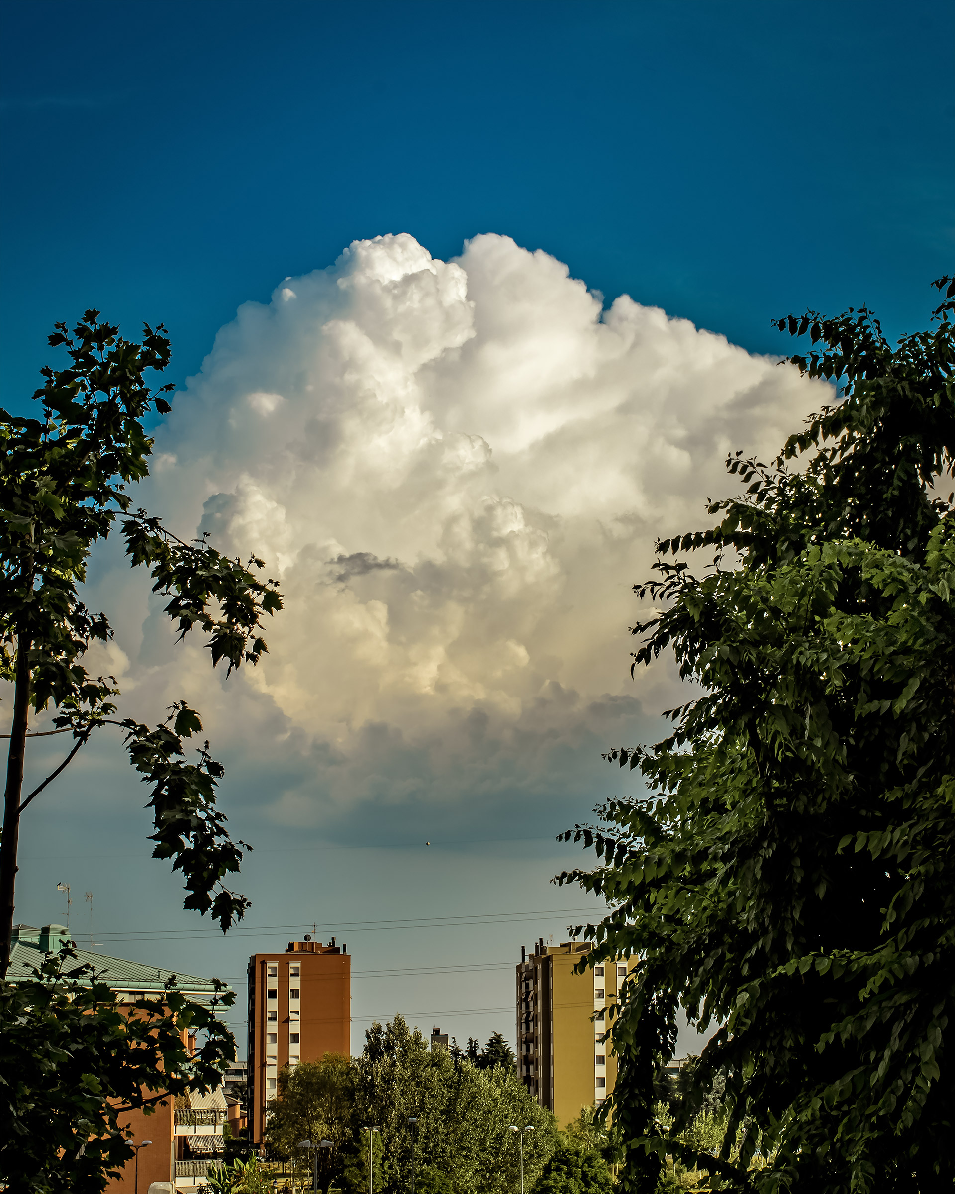 From my window on 02 06 2017