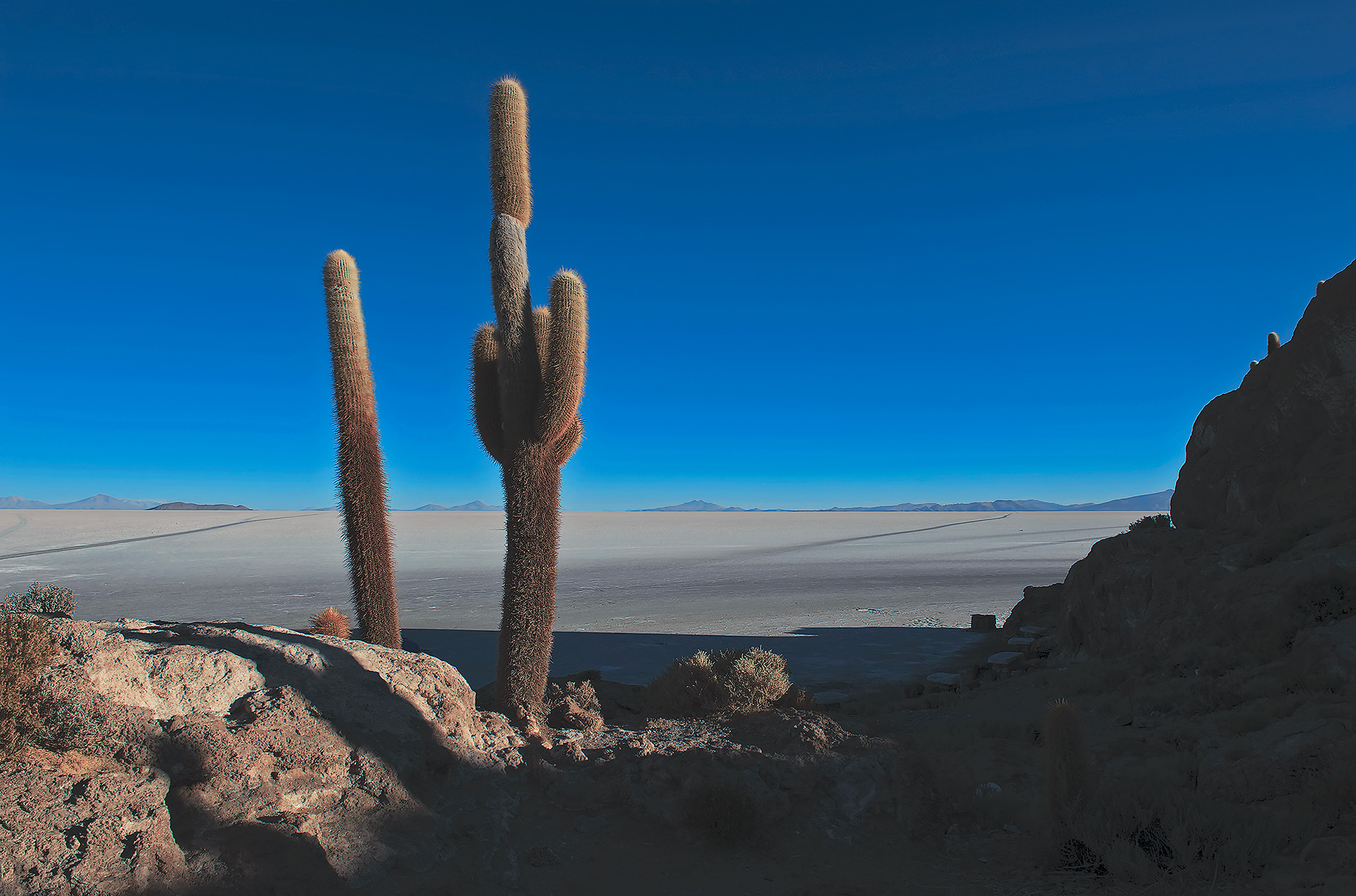 Isla del pescado - Salar de Uyuni