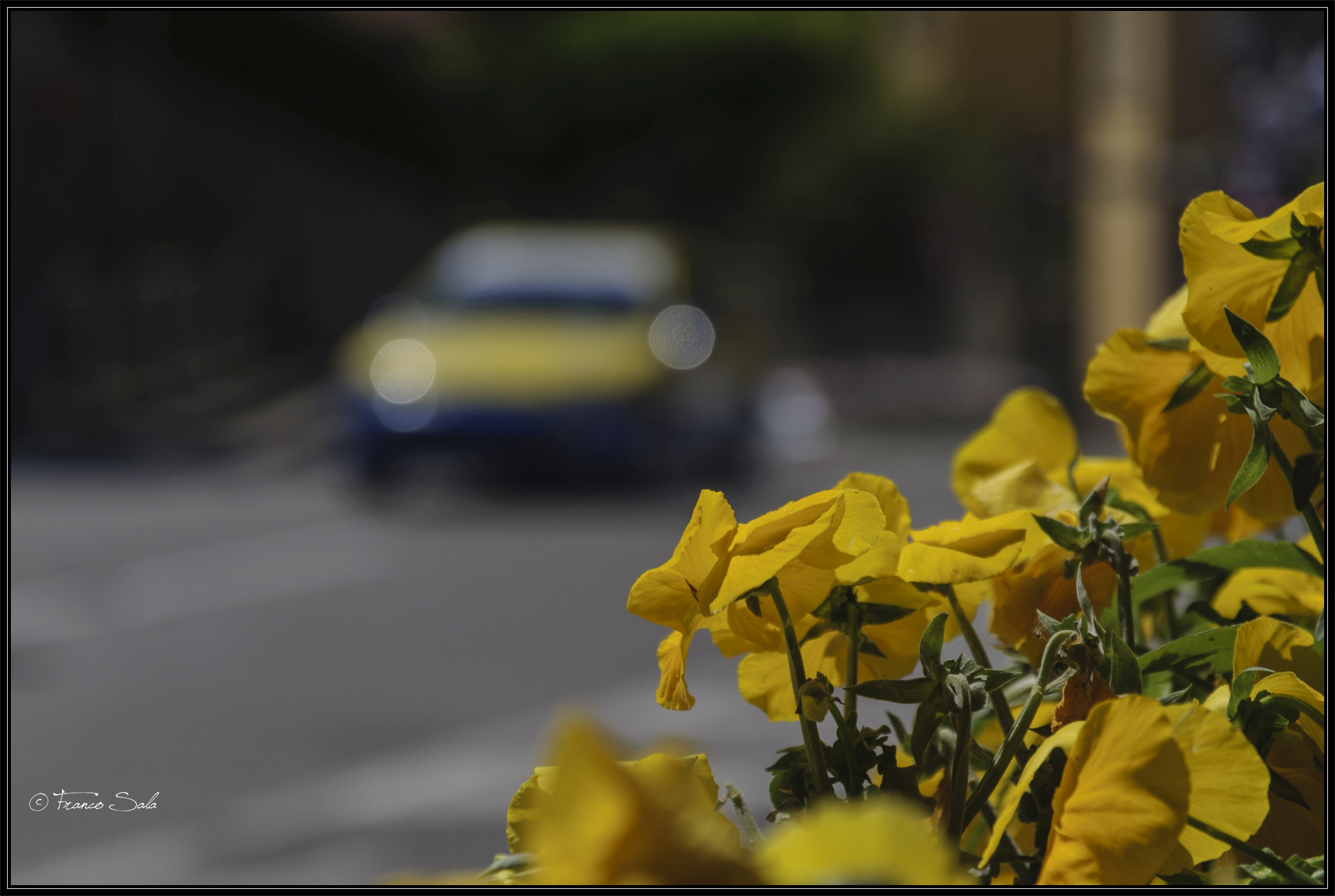 1° Rally Val San Martino