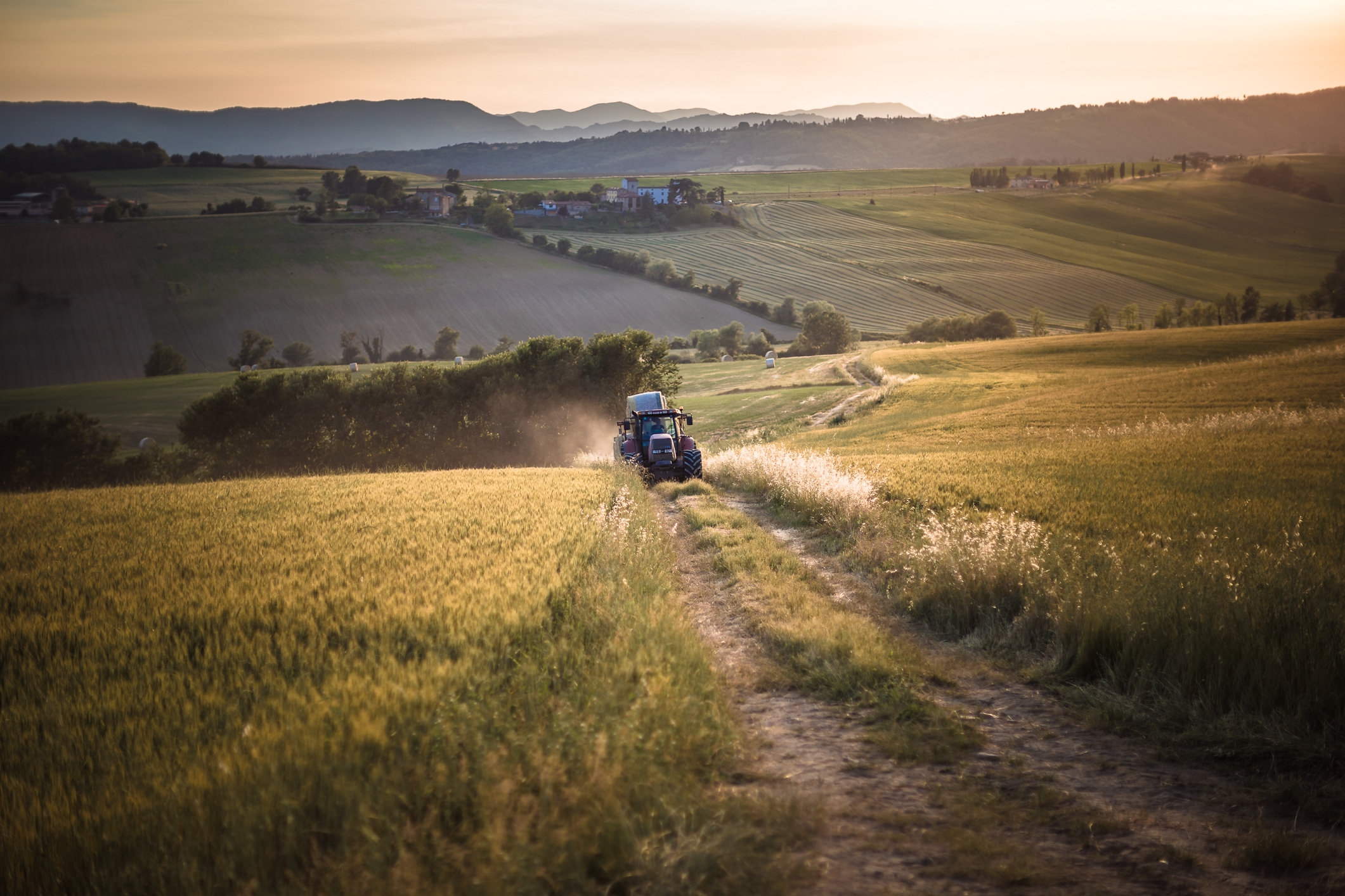 Il duro e faticoso lavoro dei campi