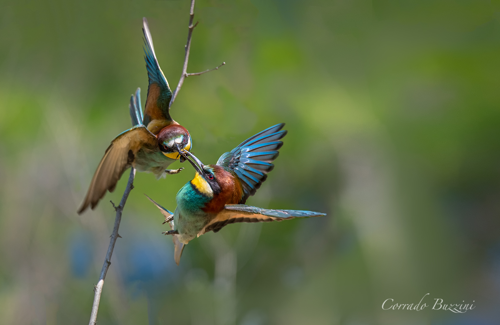 Grab the gift exchange