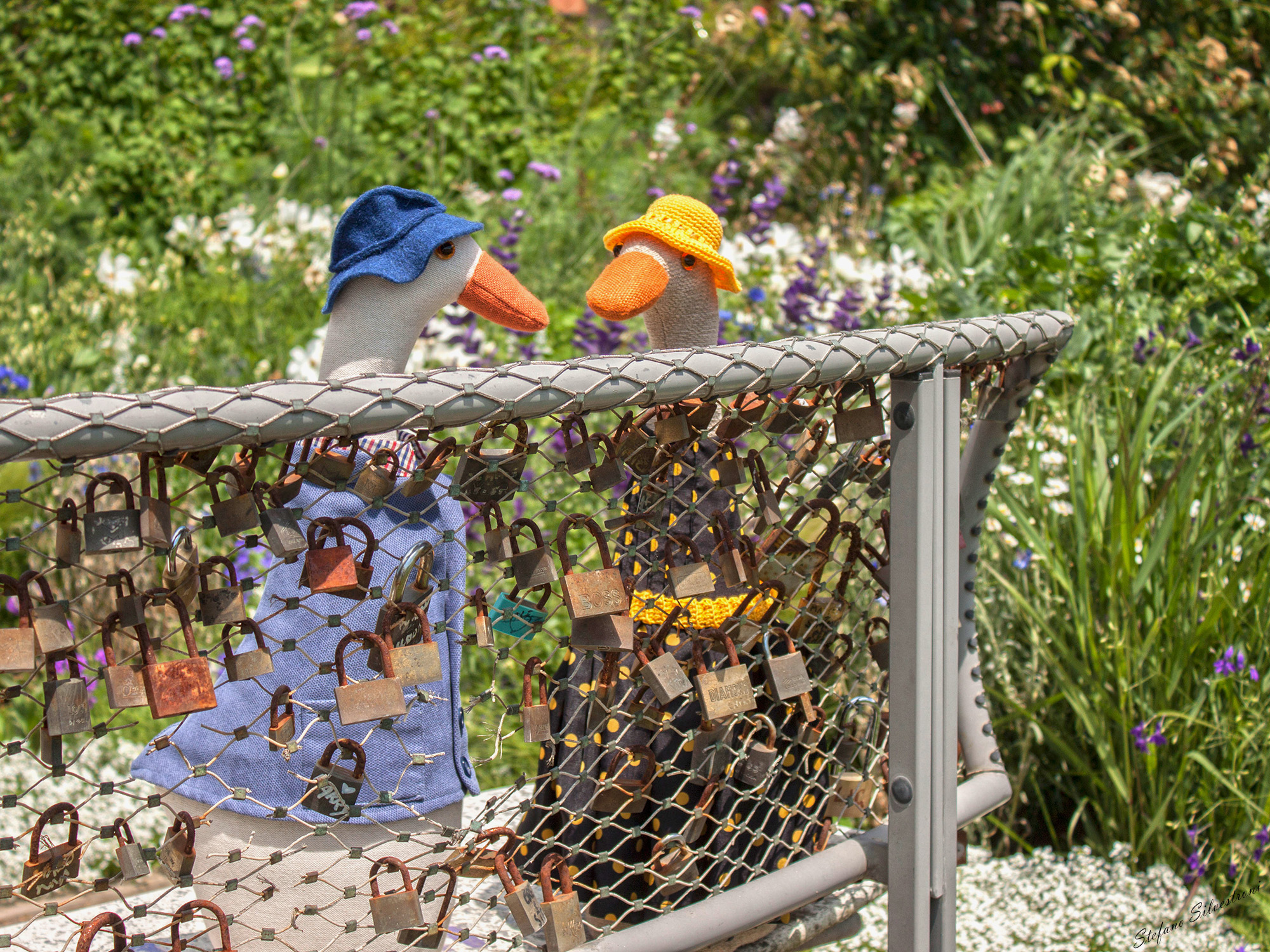 "Better a kiss than a padlock ..."