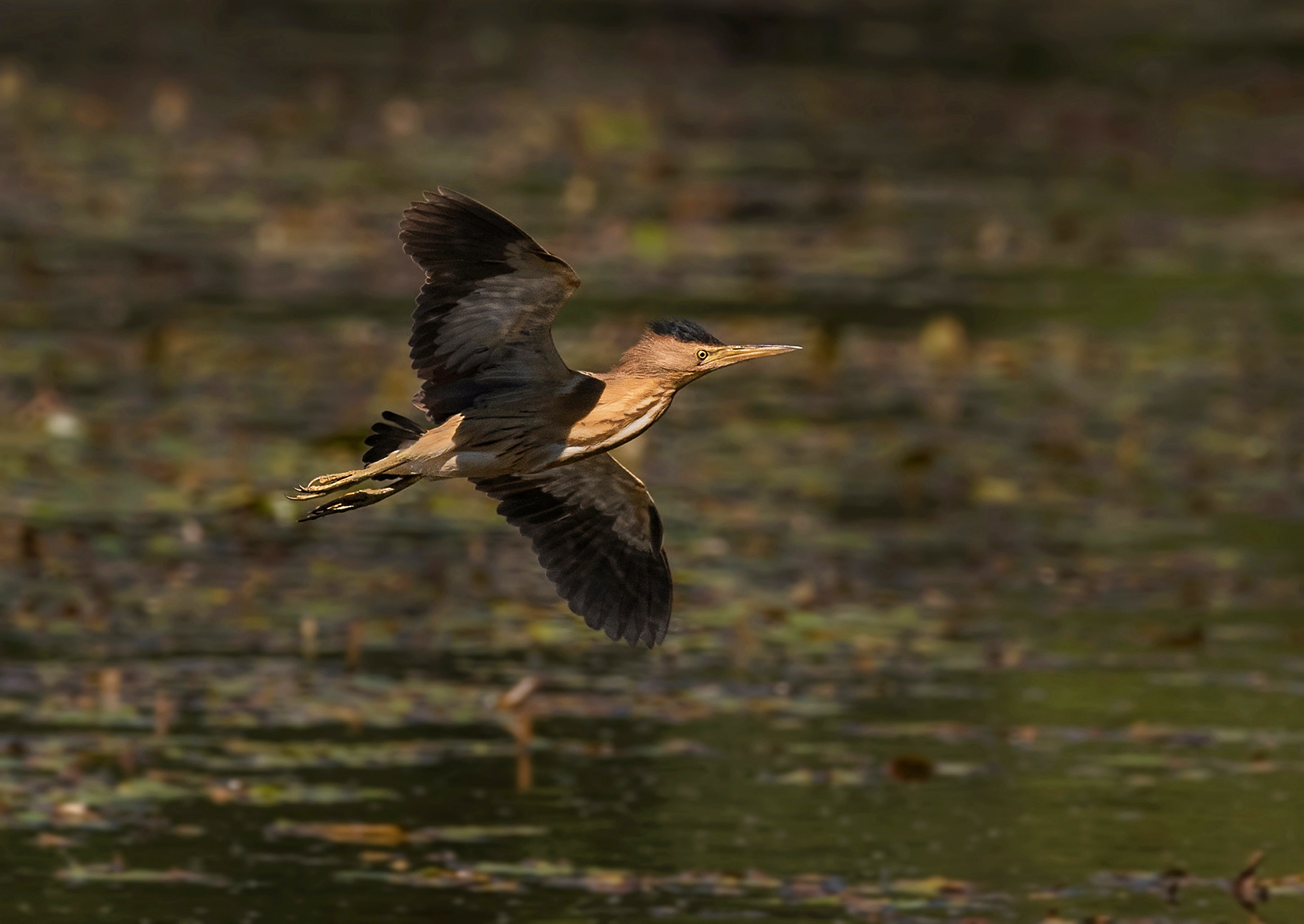 Steering Wheel Tarpaulin 1