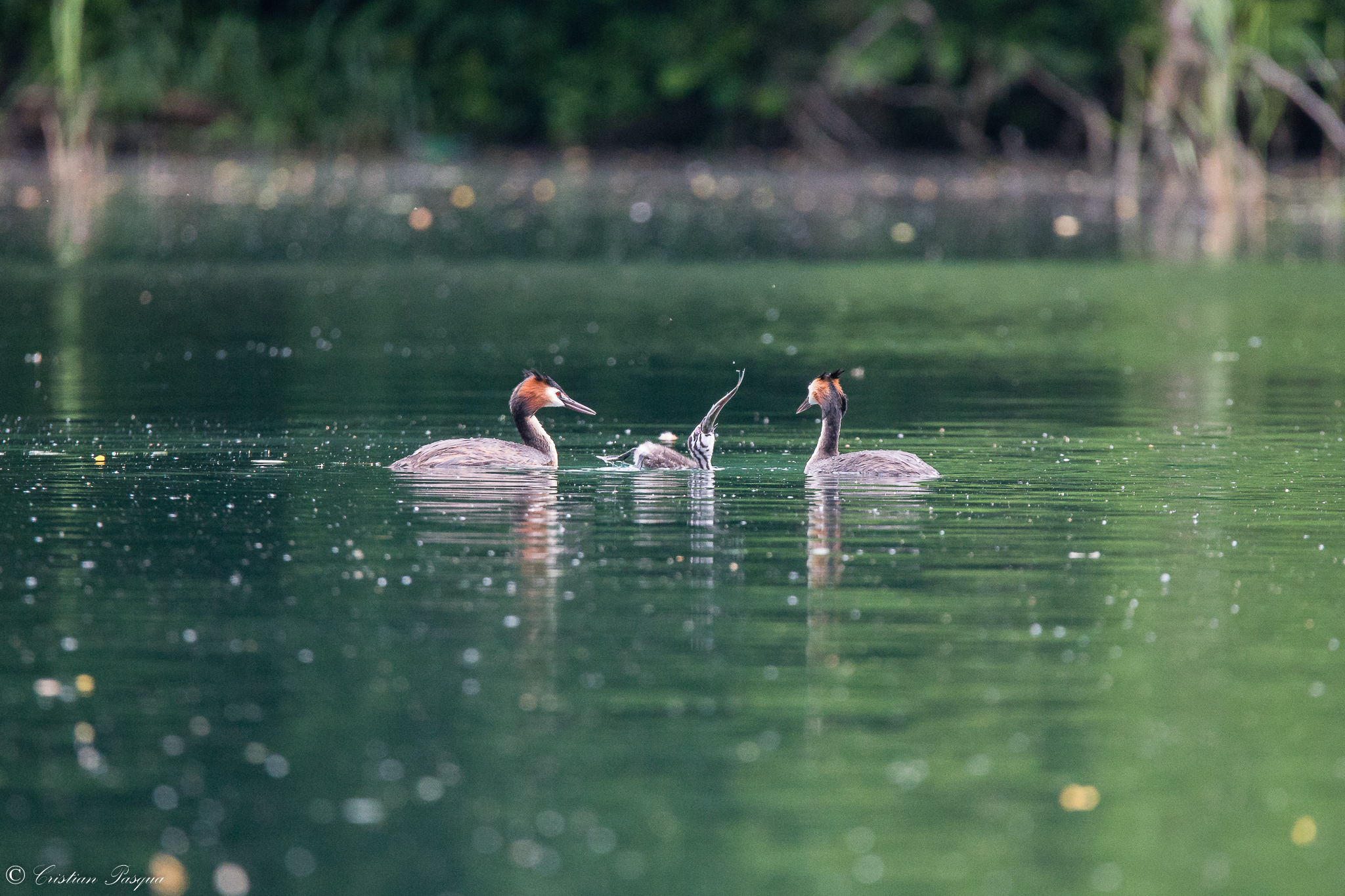 The fish is all mine !!