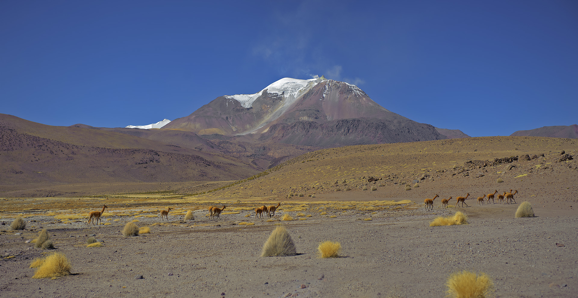 Reserva las Vicugnas