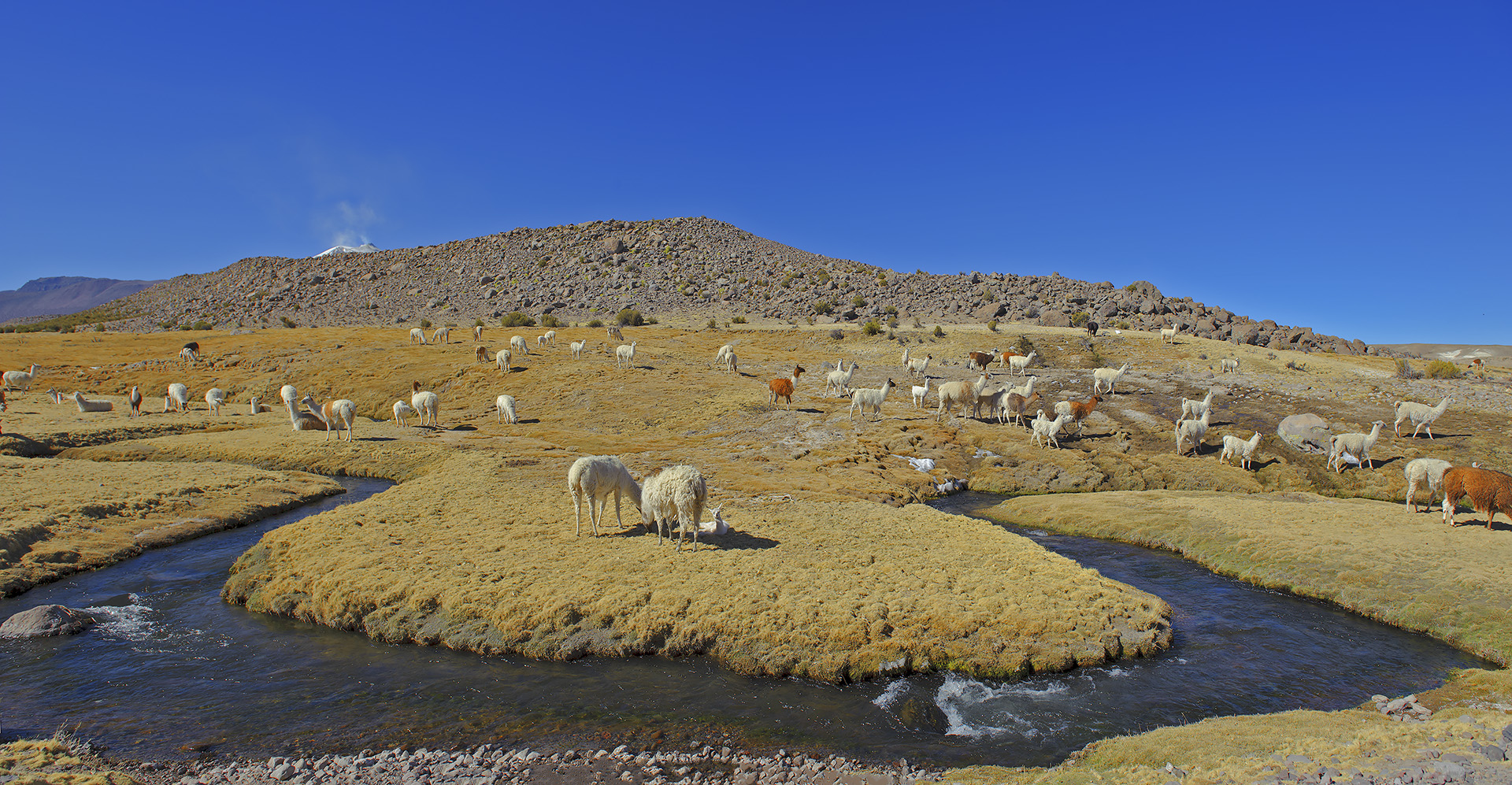 Reserva las Vicugnas