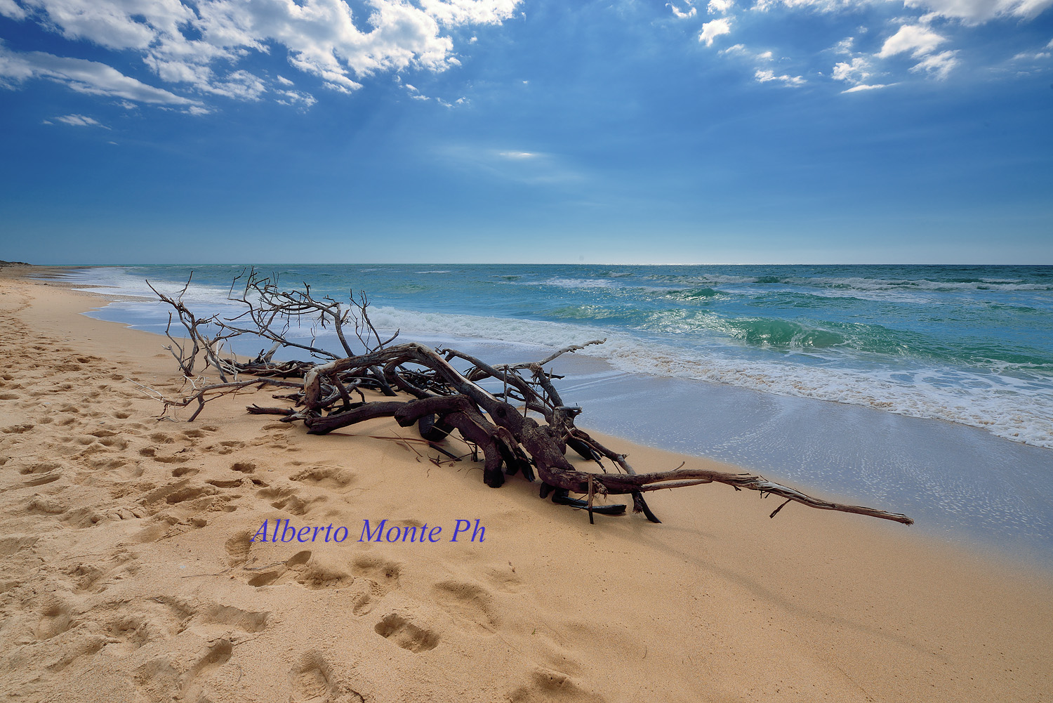 Inquinamento e ancora di salvezza in mare?