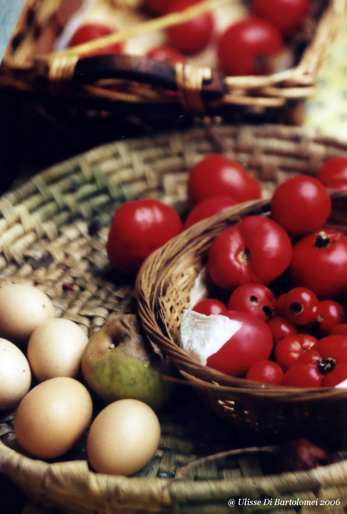 I frutti dell'orto di Francesca