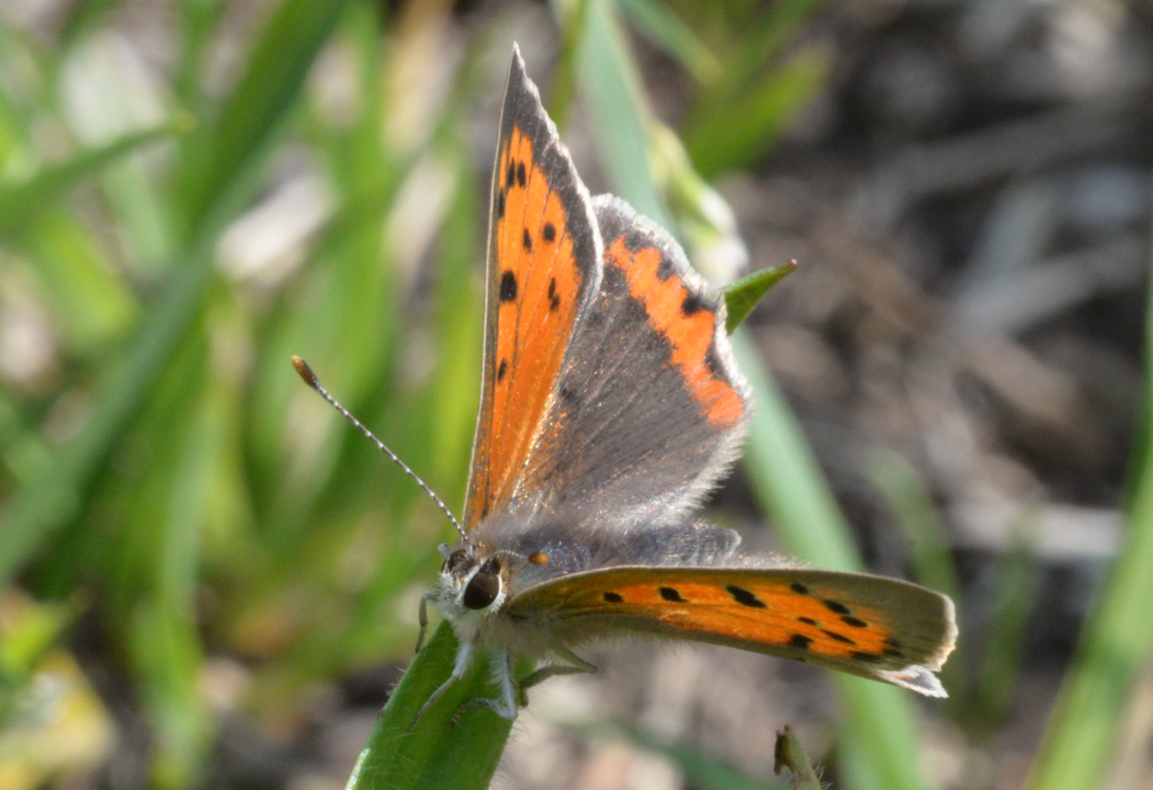 Unbearable lightness of being