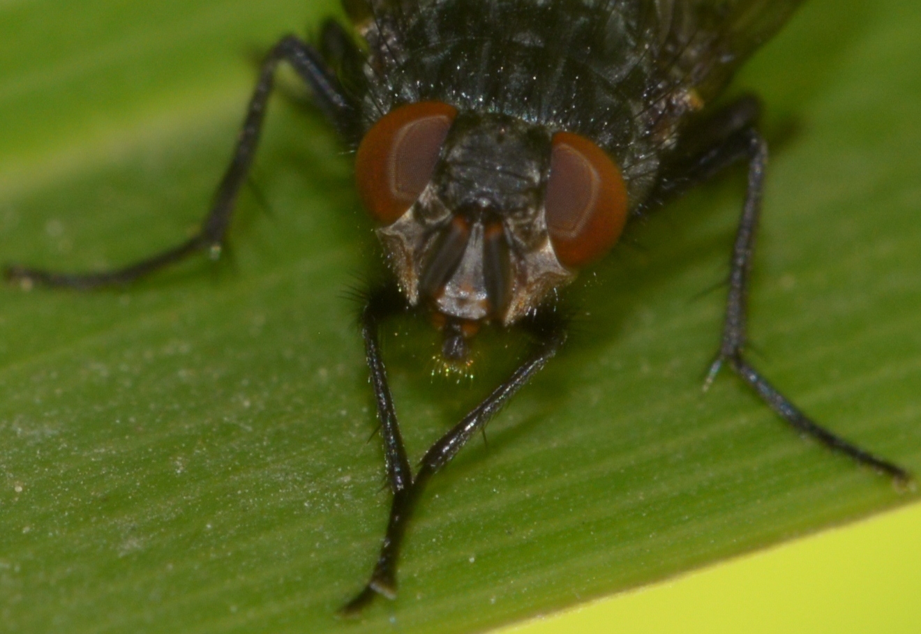 It's not nice what's beautiful but ..........