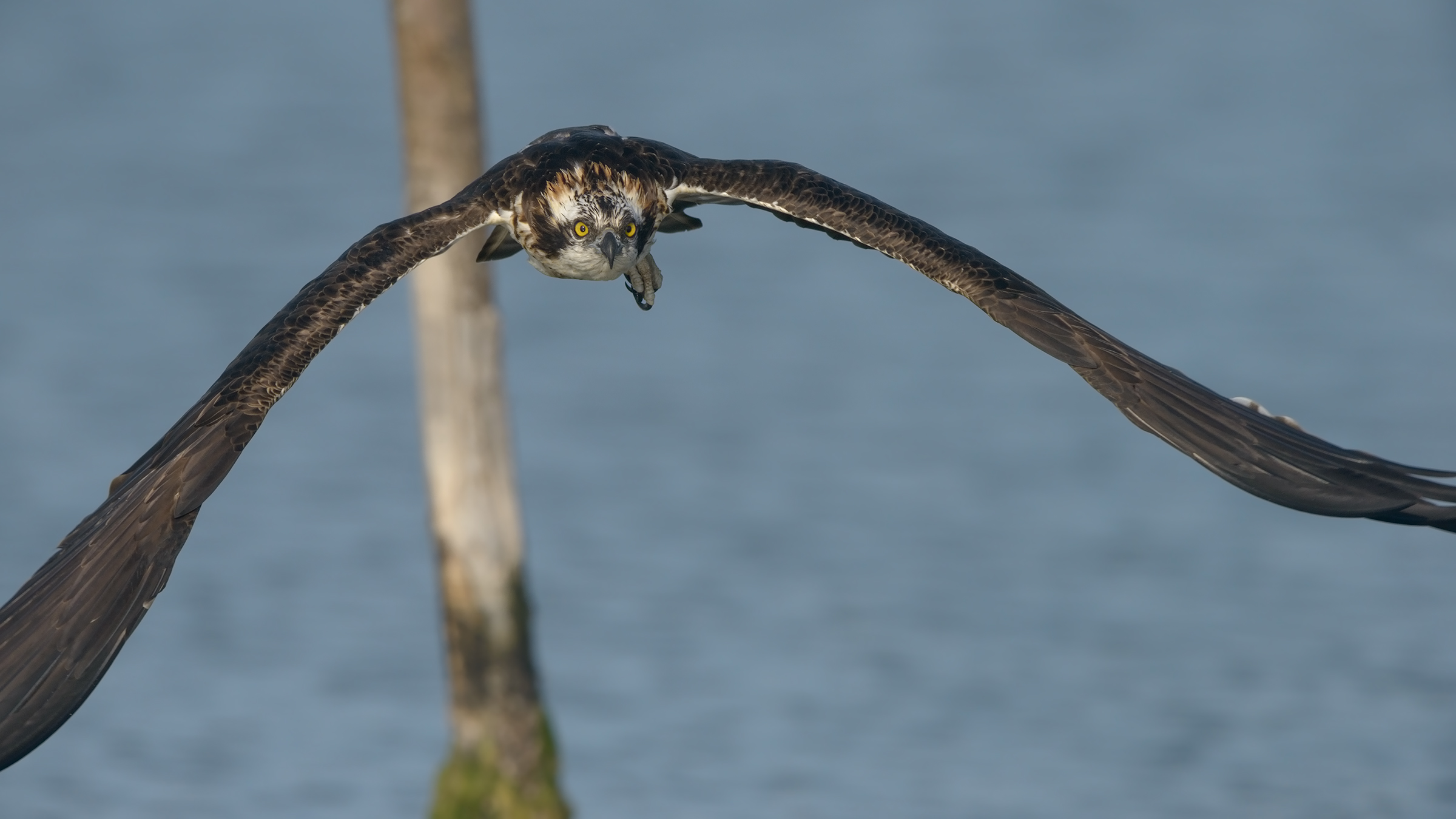 rotta di collisioneeeeeee