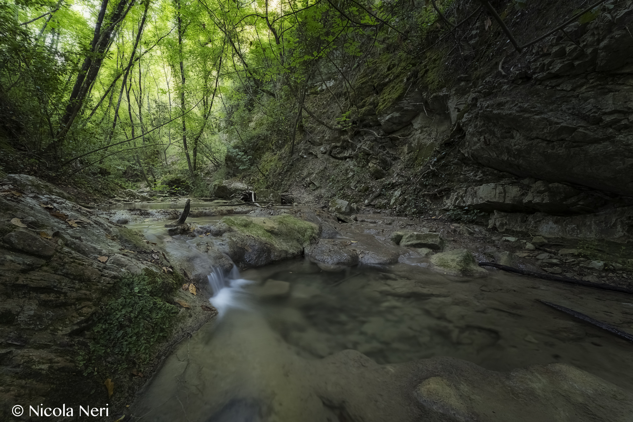 Surrounded by nature