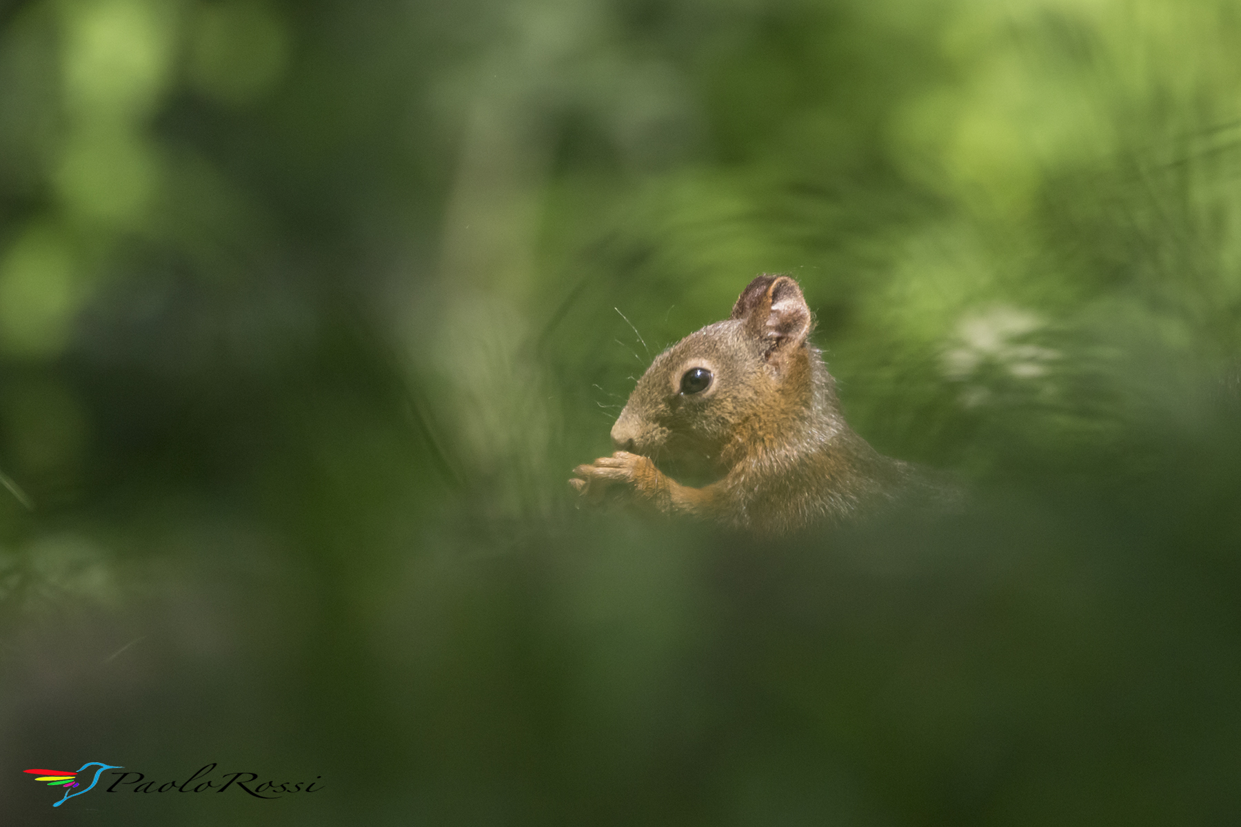 L'attimo fuggente...