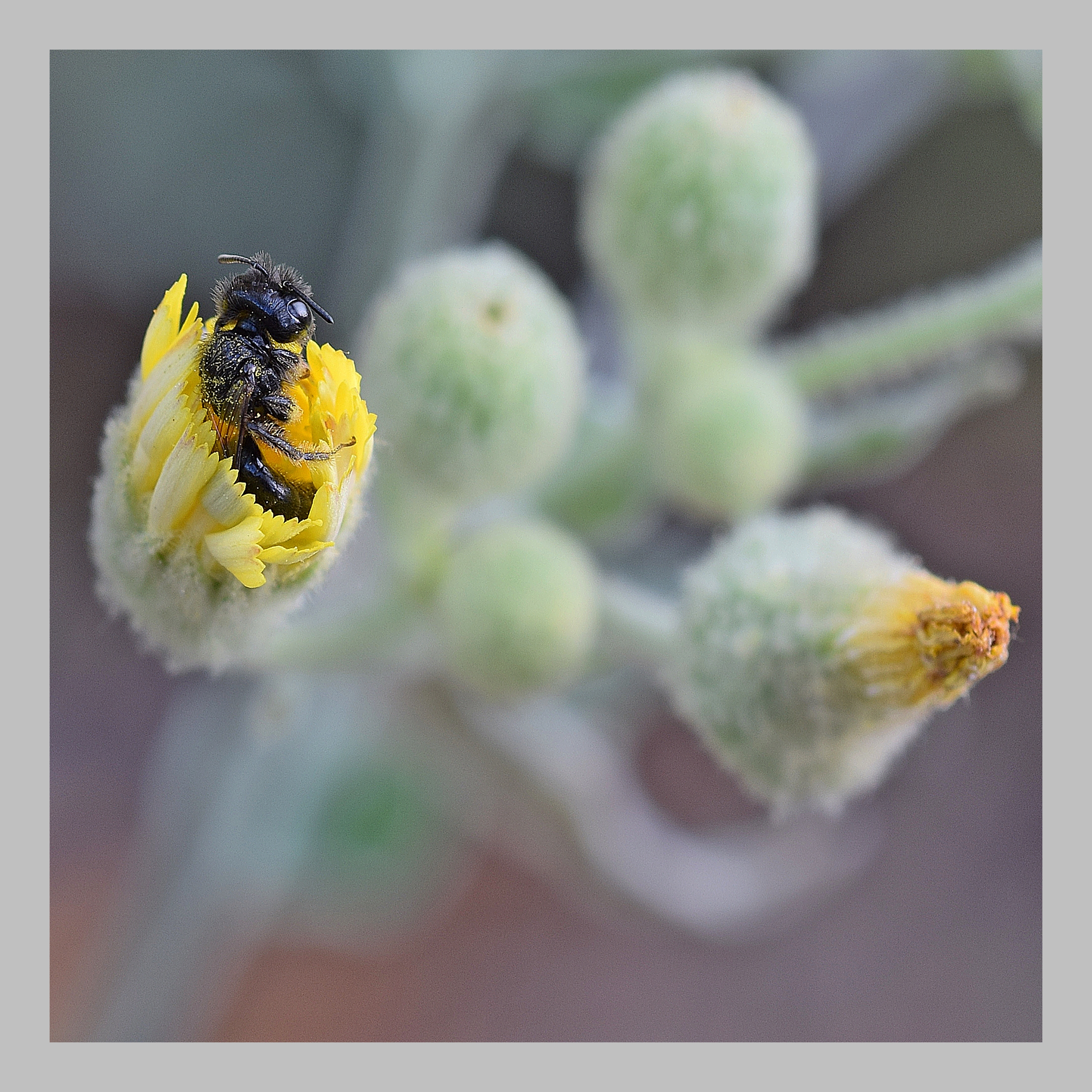 I'm out .... if I can