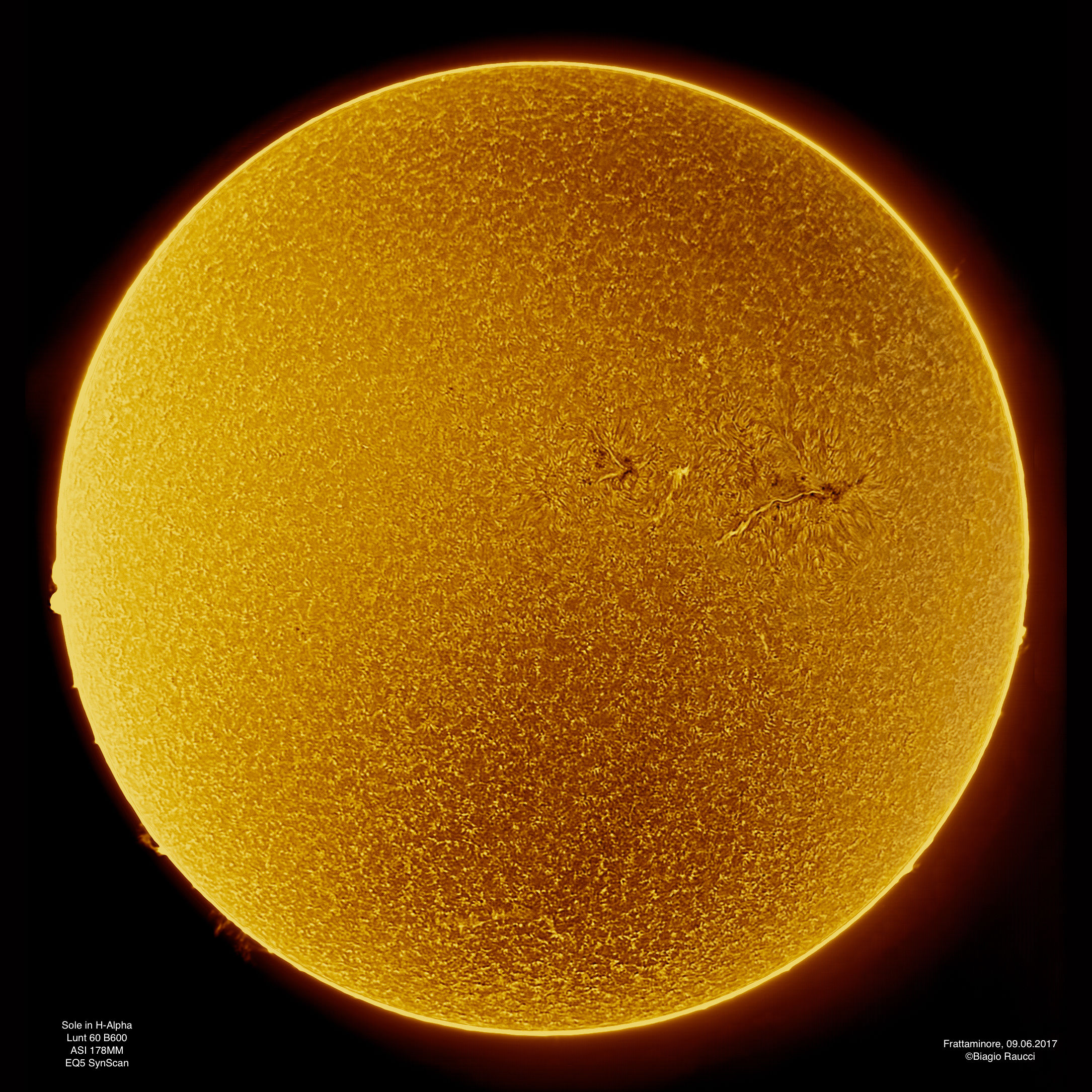 Sun in H-Alpha on June 9, 2017