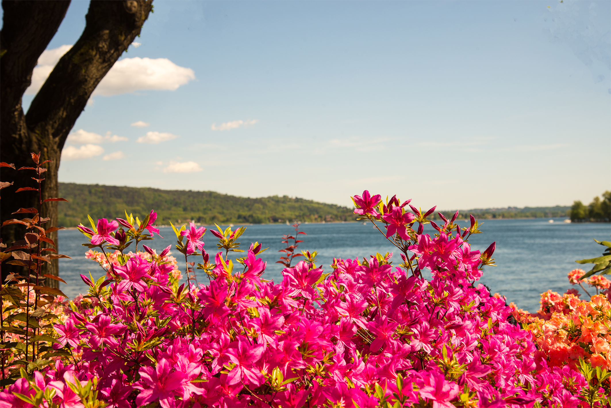 arona (lago maggiore)