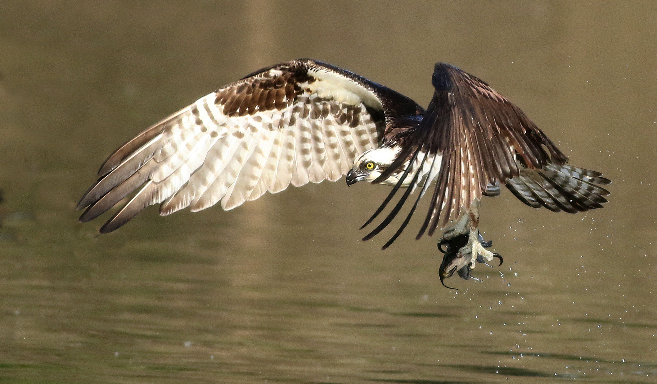 Uno sguardo più da vicino