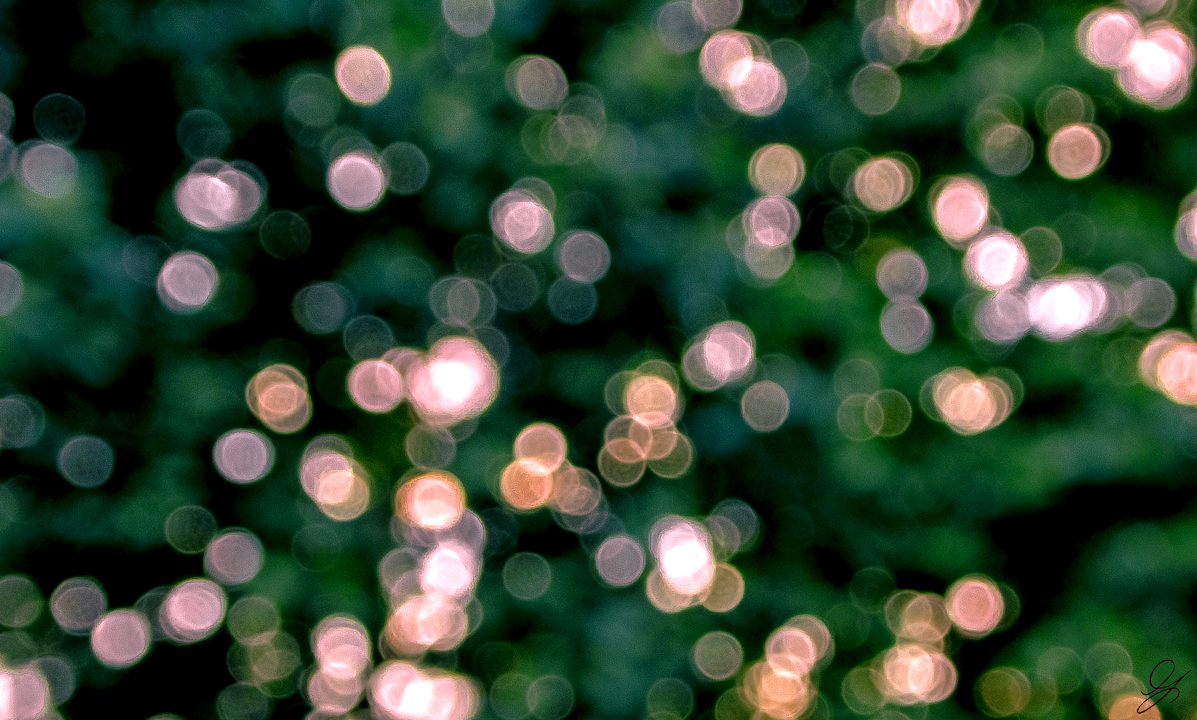 Bokeh