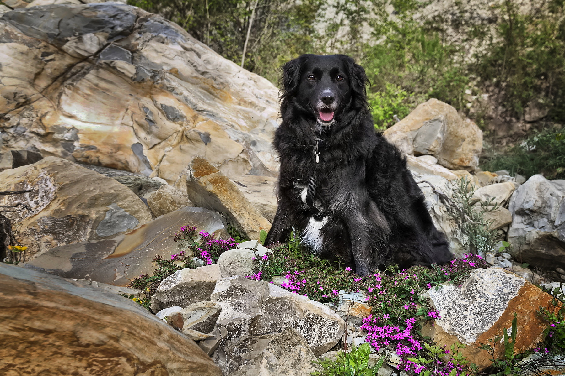 Non calpestare le aiuole