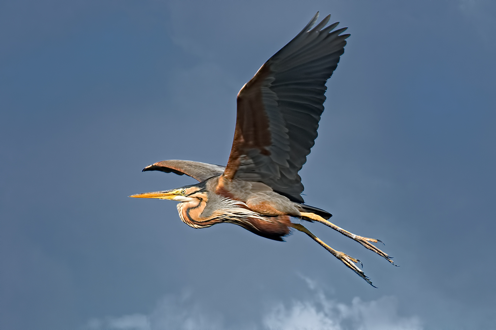 Upper Lake of Mantua - Dating 2017