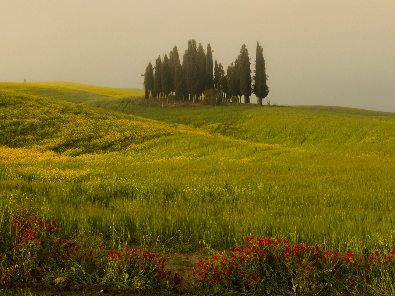Val d'Orcia