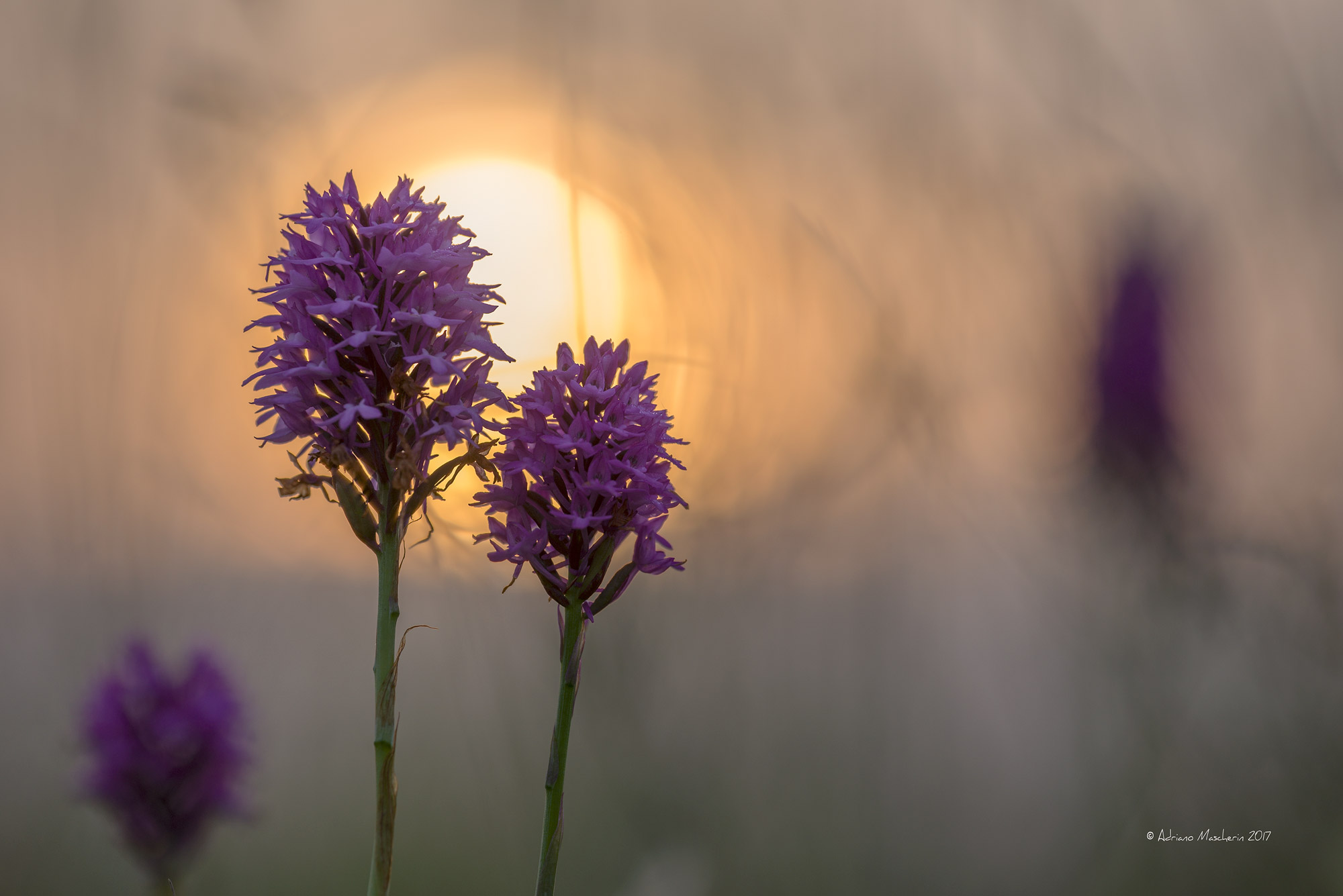 La magia delle prime luci