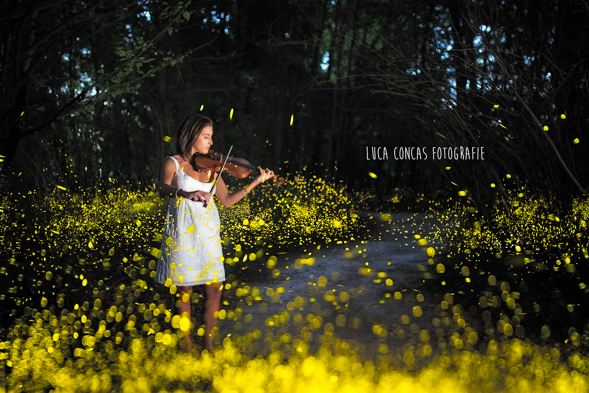 Le Lucciole and the violinist