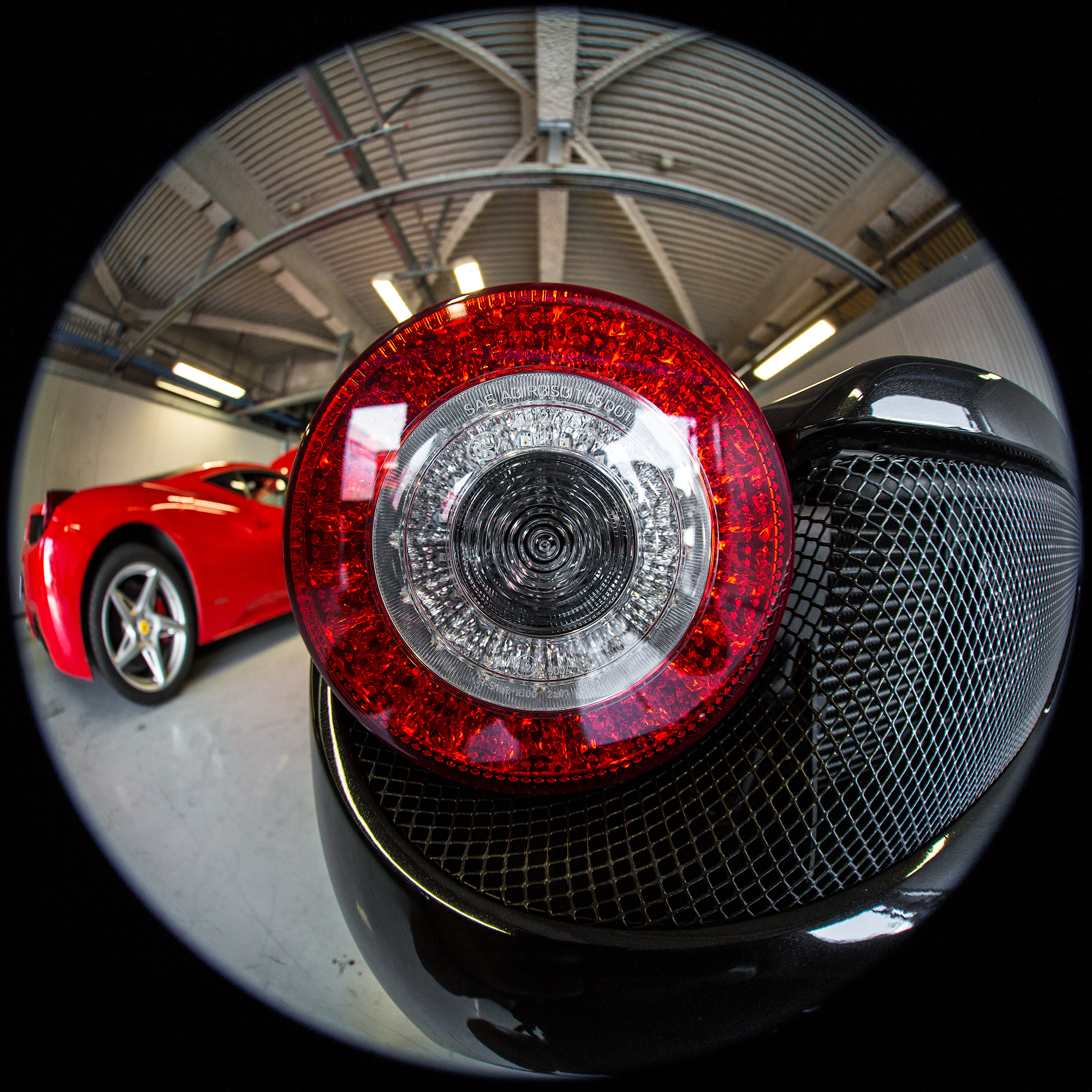 posteriore inconfondibile