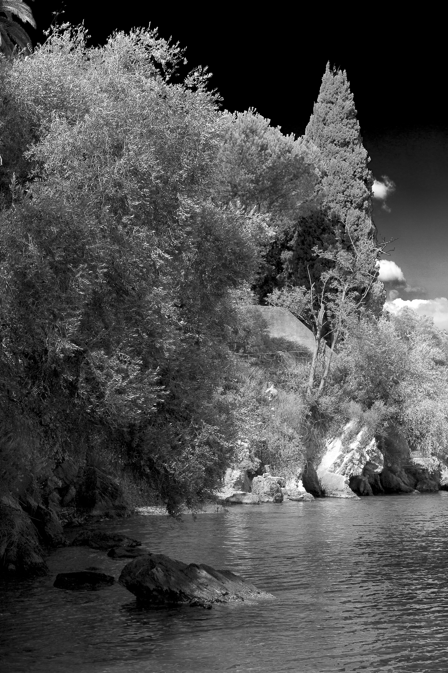 canon 5diii     24-105