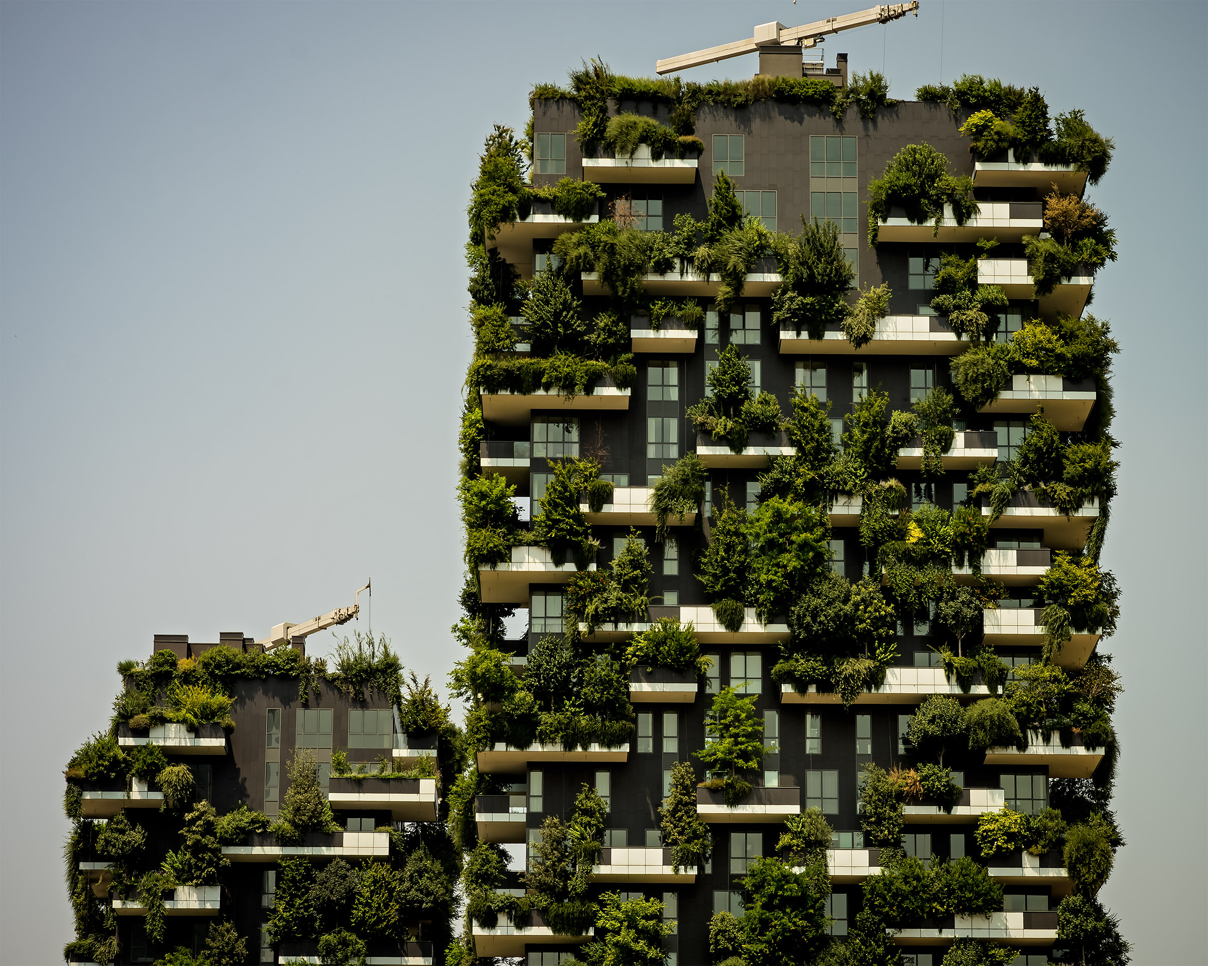 Bosco Verticale e gru