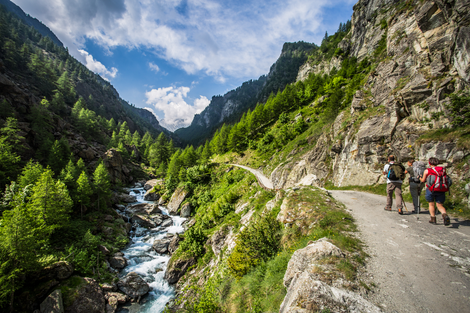 Pellice Valley - shoulder and shoulders
