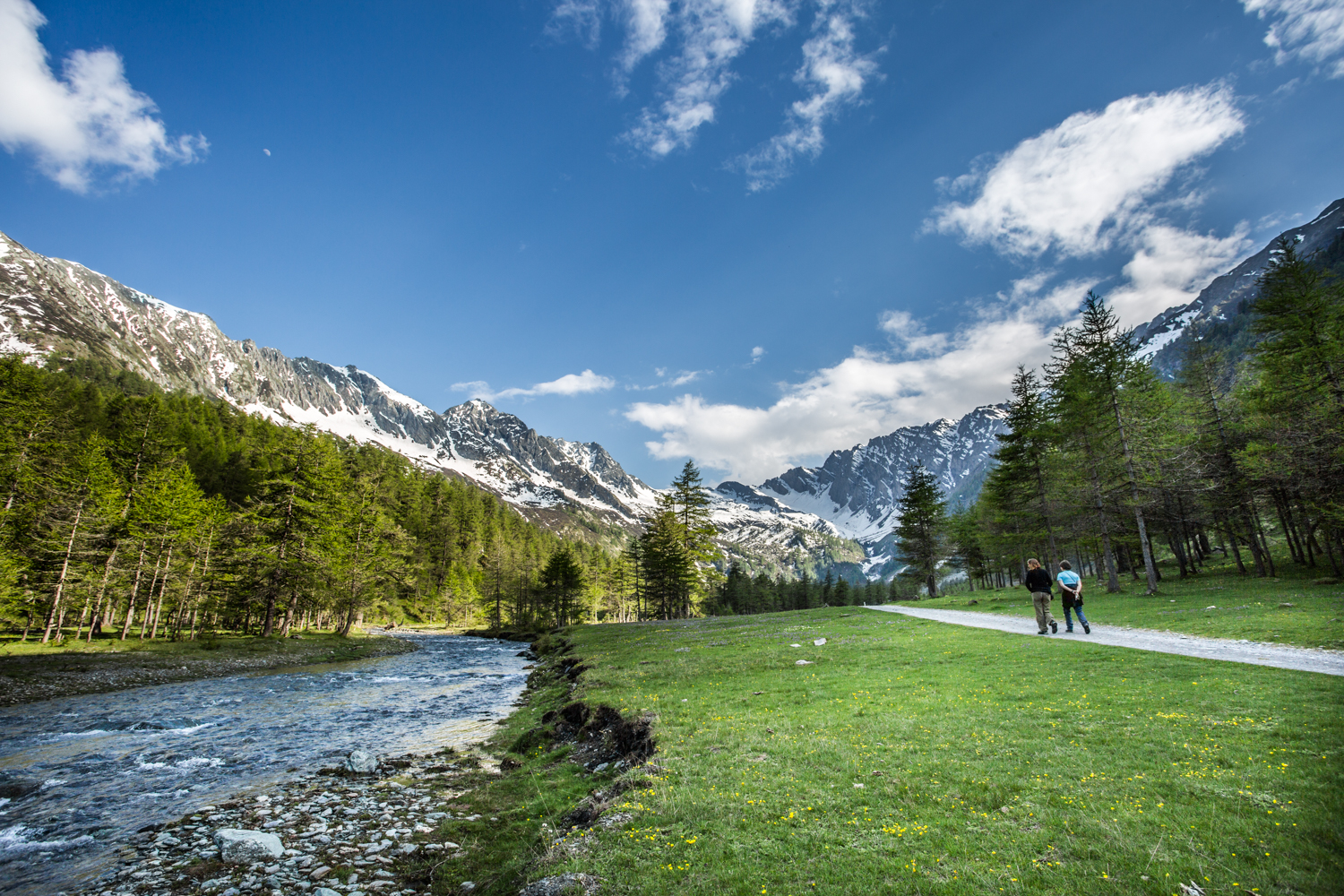 Pellice Valley - shoulder and shoulders