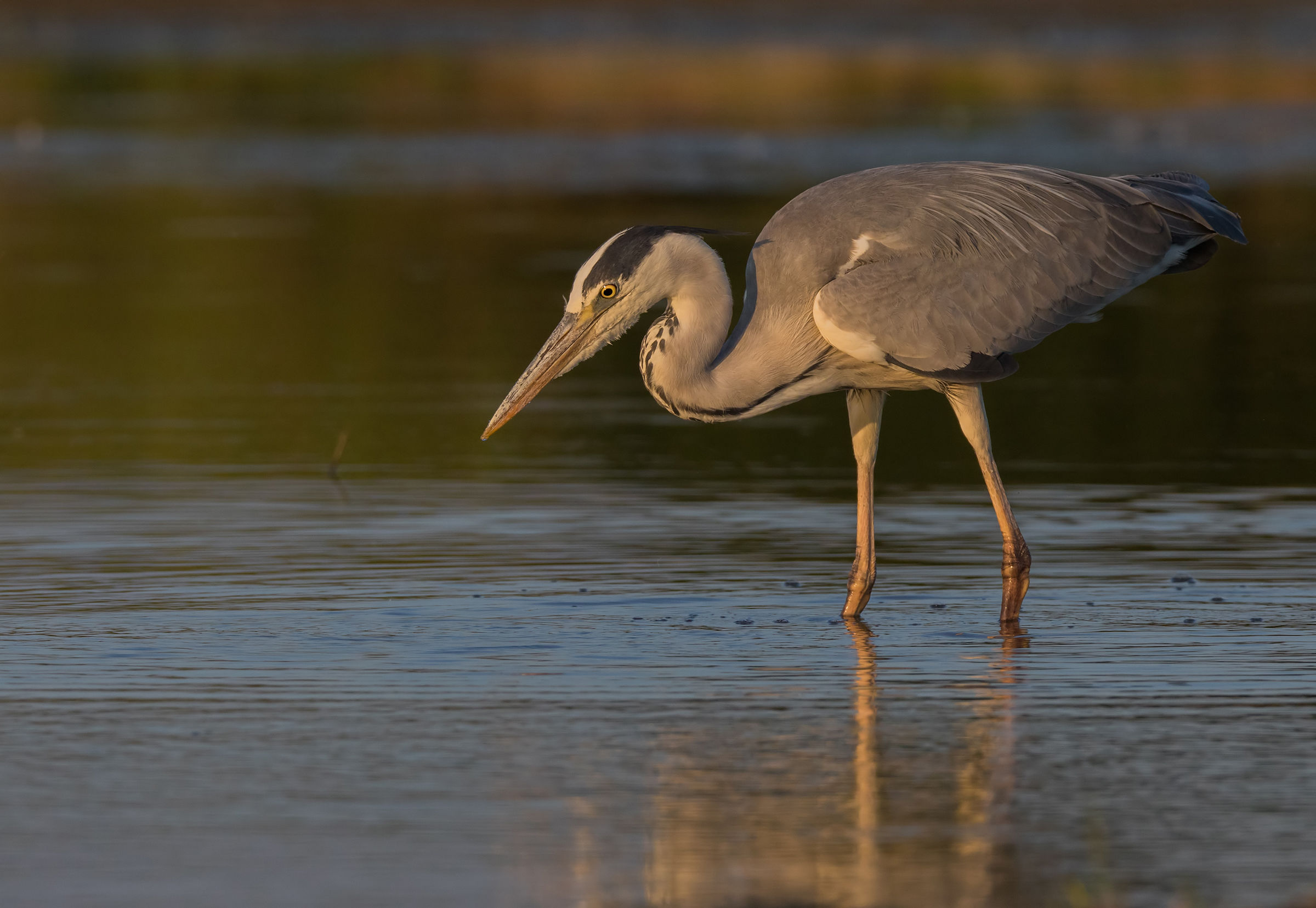 Sunset over the Cinderella
