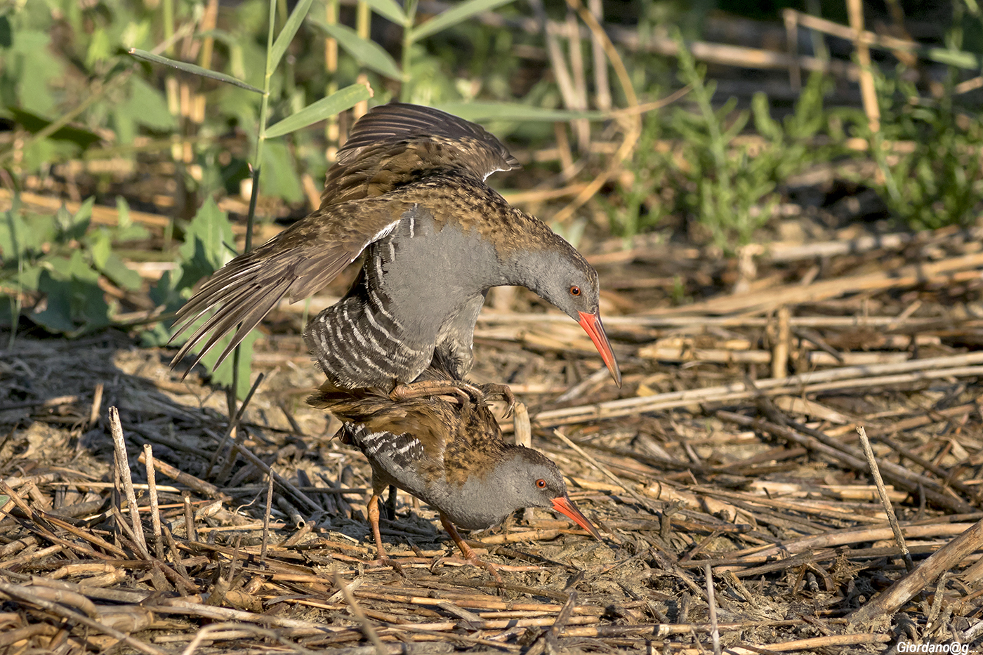 Coupling in coupling ..