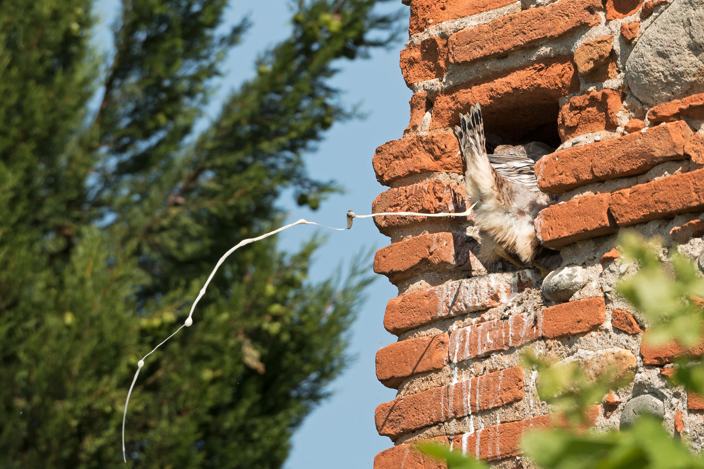meglio fuori che dentro!
