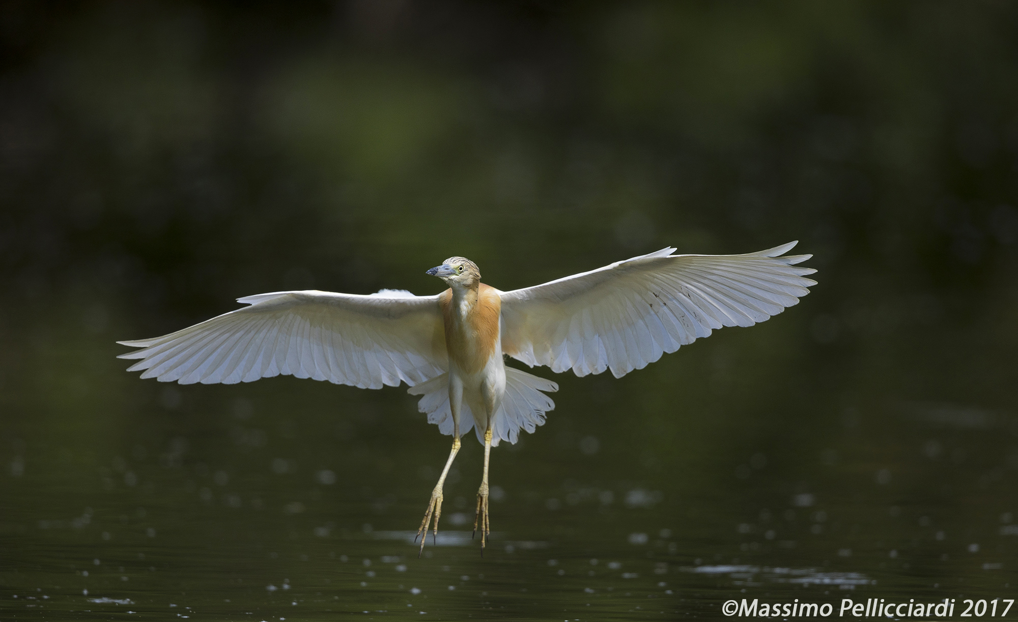 Atterraggio del boing 747