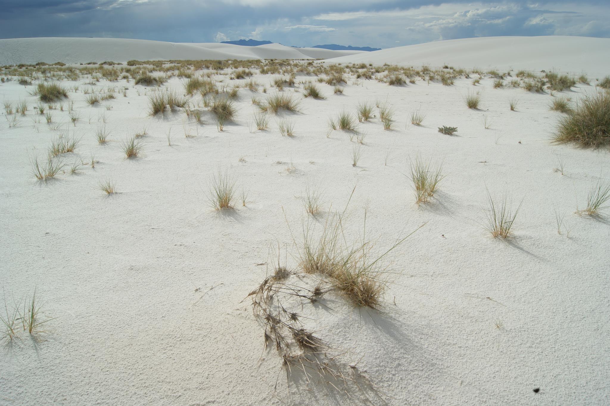 White Sands