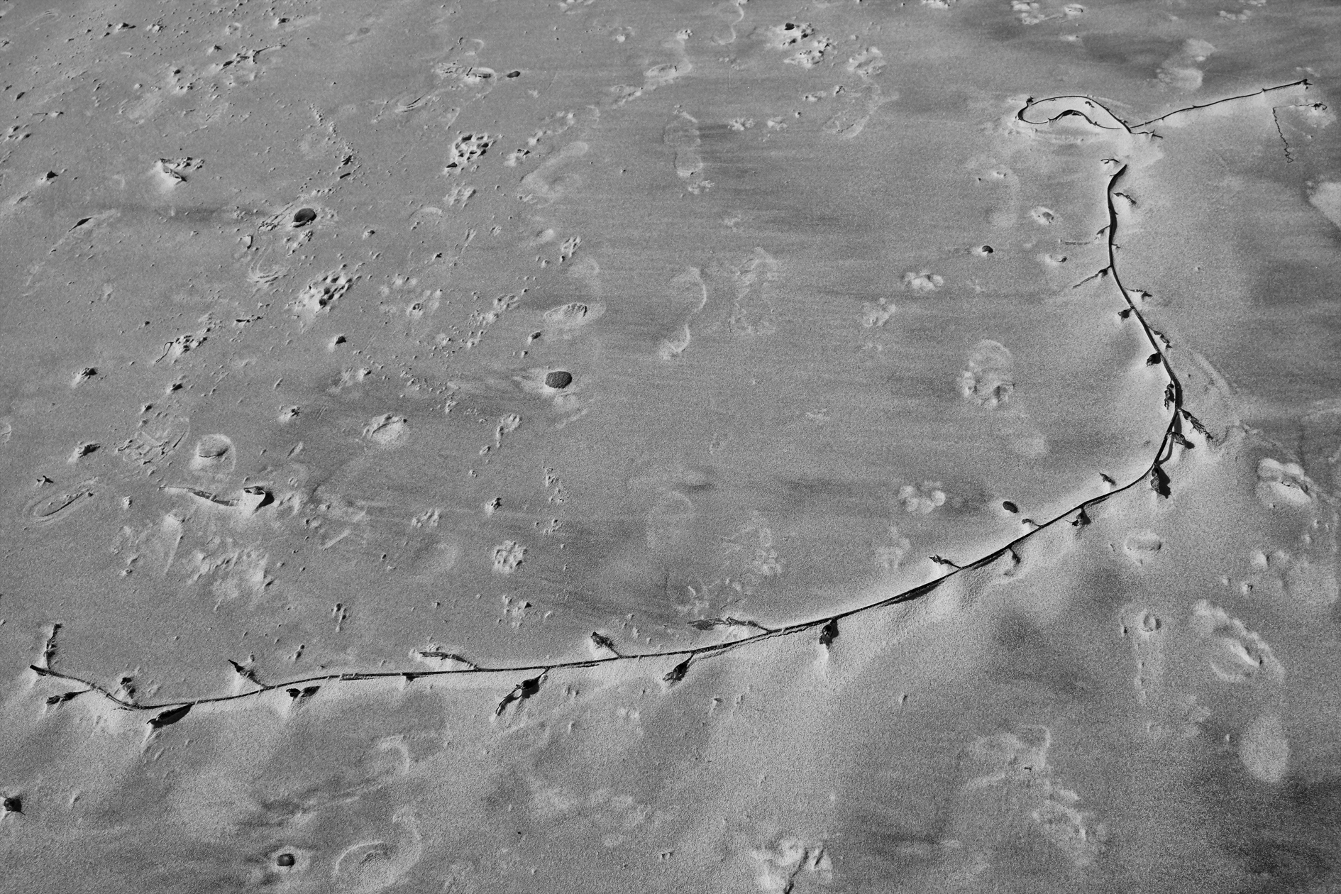 Disegnato sulla sabbia